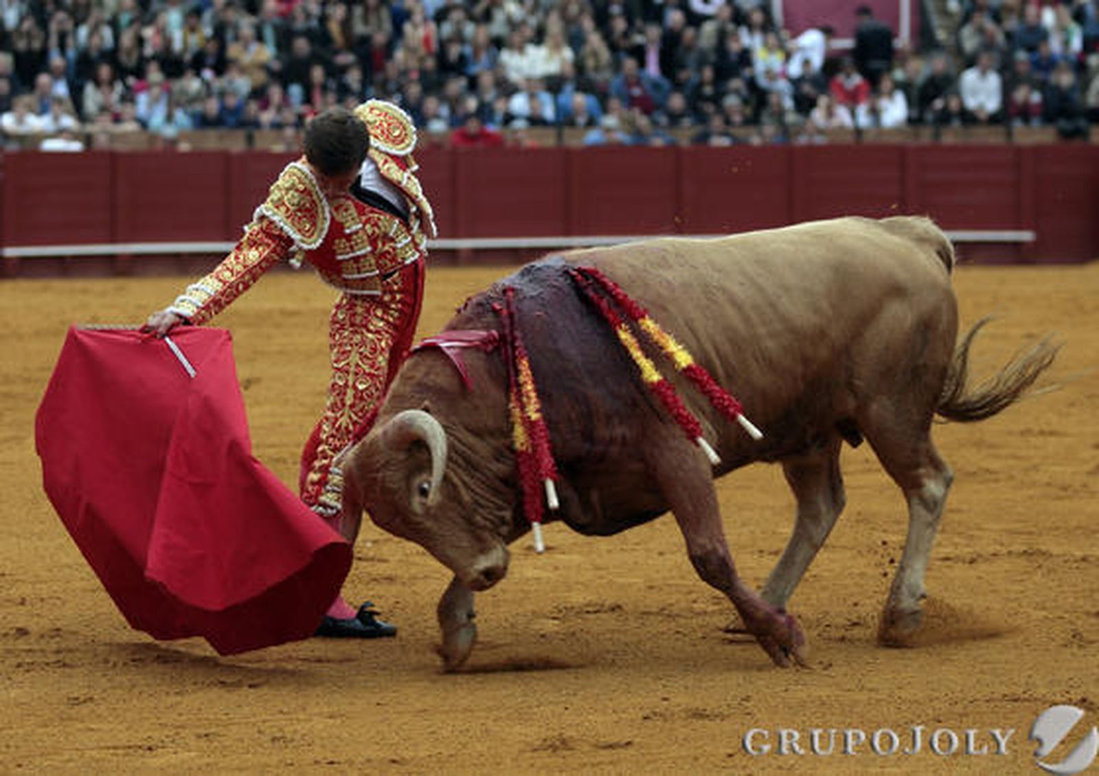Lama de Góngora.

Foto: Juan Carlos Mu?