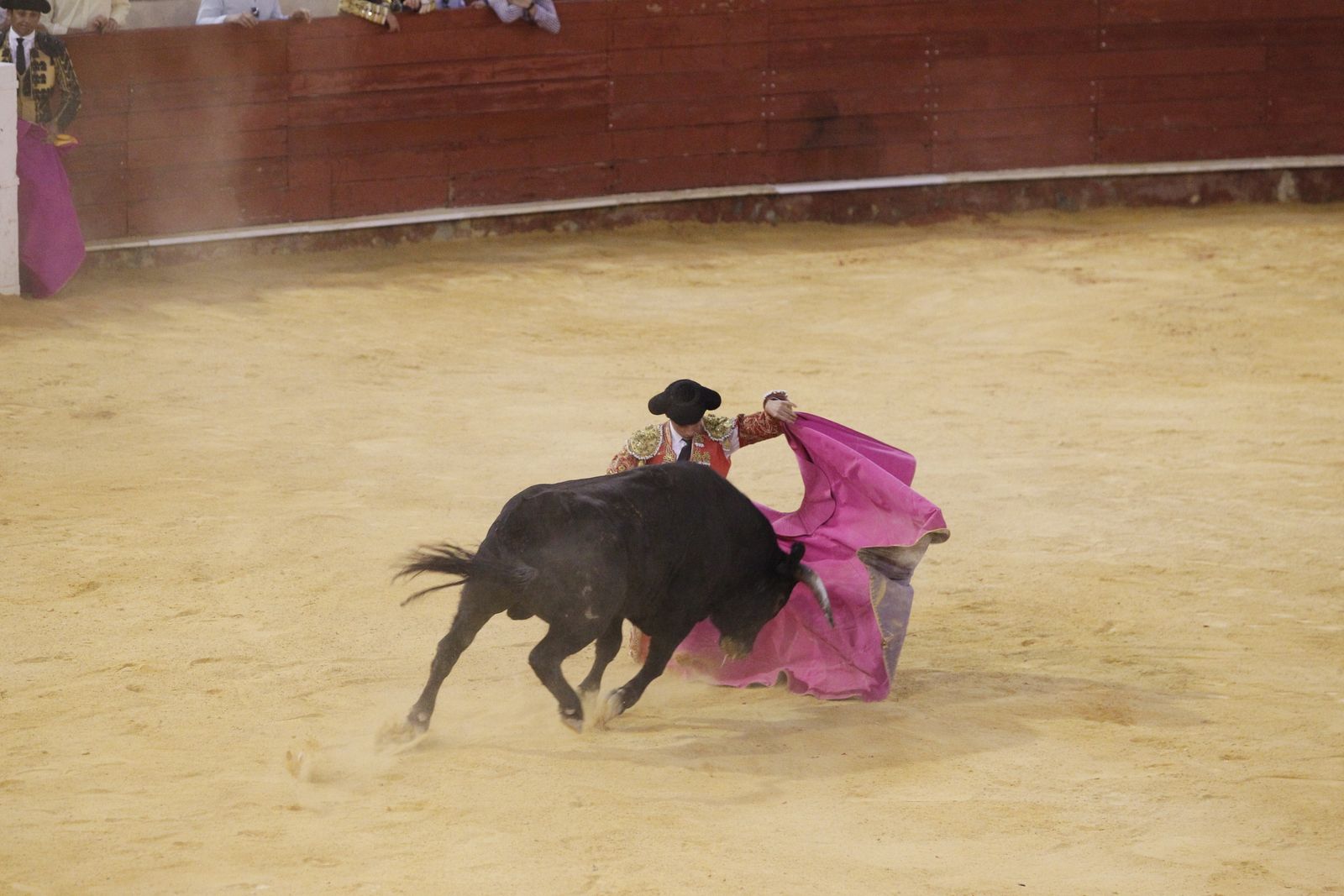 Fotogalería novillada Escuela Taurina de Almería. Feria de Almería 2019