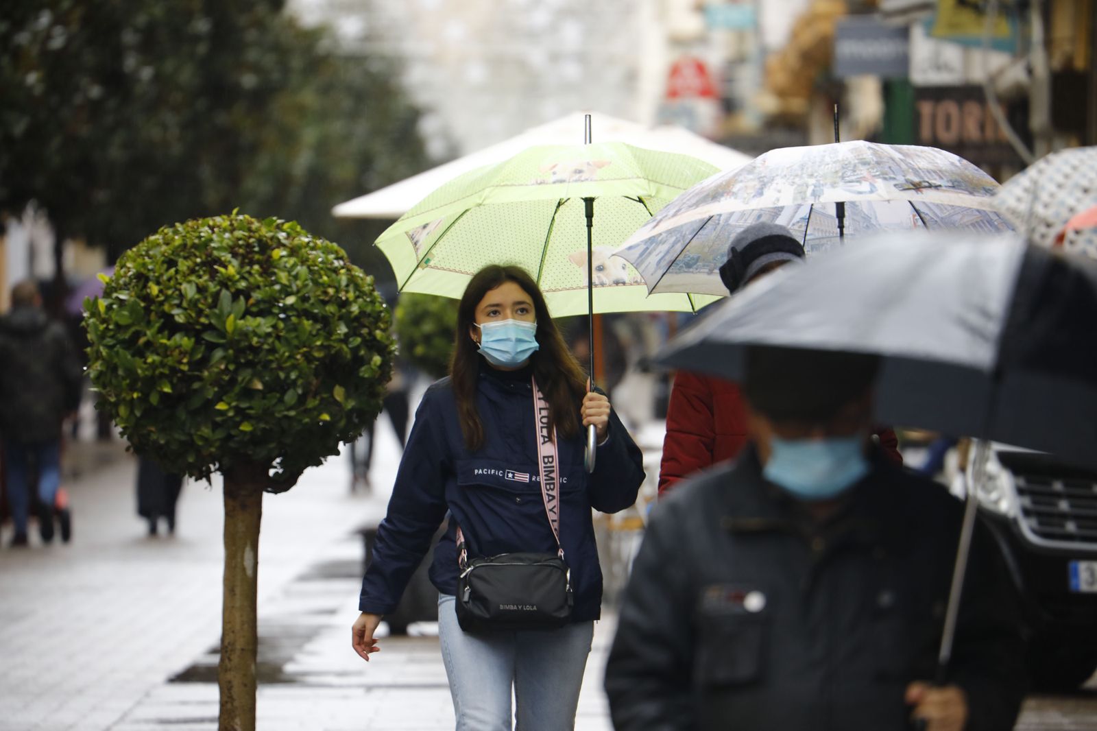 Las fotografías del paso de la borrasca Filomena por Córdoba