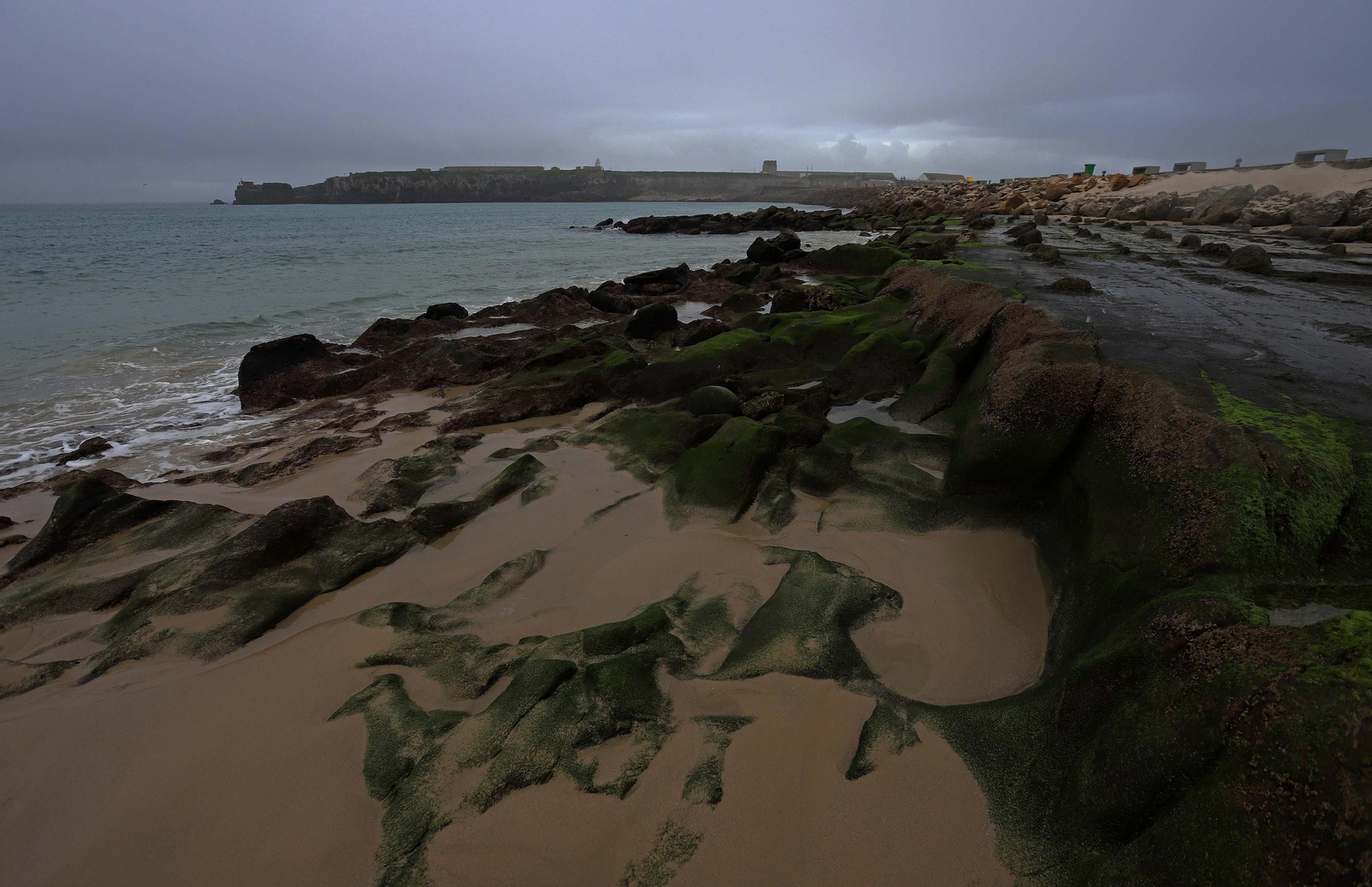 Fotos de la Isla de Tarifa y el parque natural del Estrecho