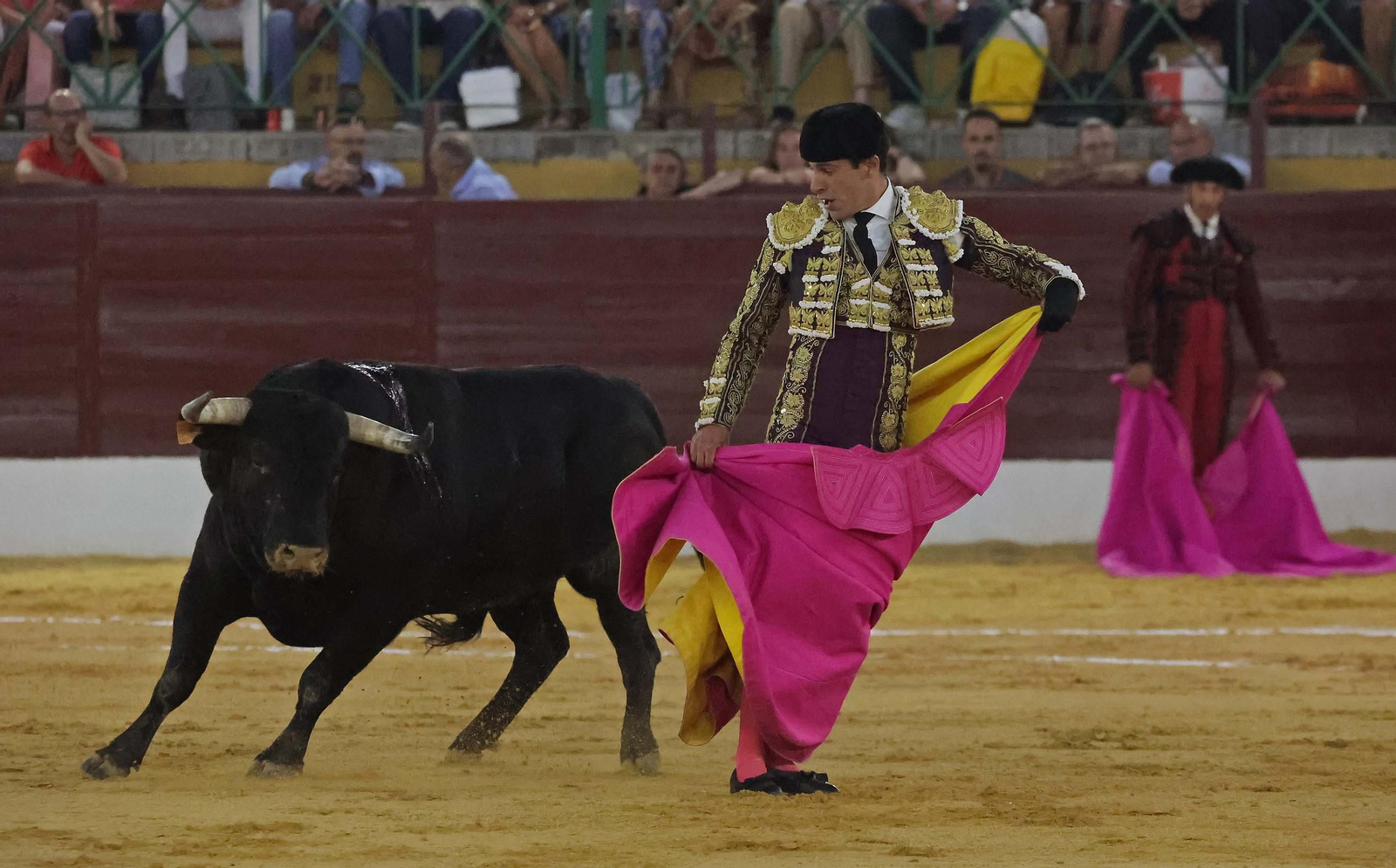 Fotos de la corrida del viernes de la Feria de La Línea: Morante de la Puebla, Talavante y David de Miranda Fotos de la corrida del viernes de la Feria de La Línea: Morante de la Puebla, Talavante y David de Miranda