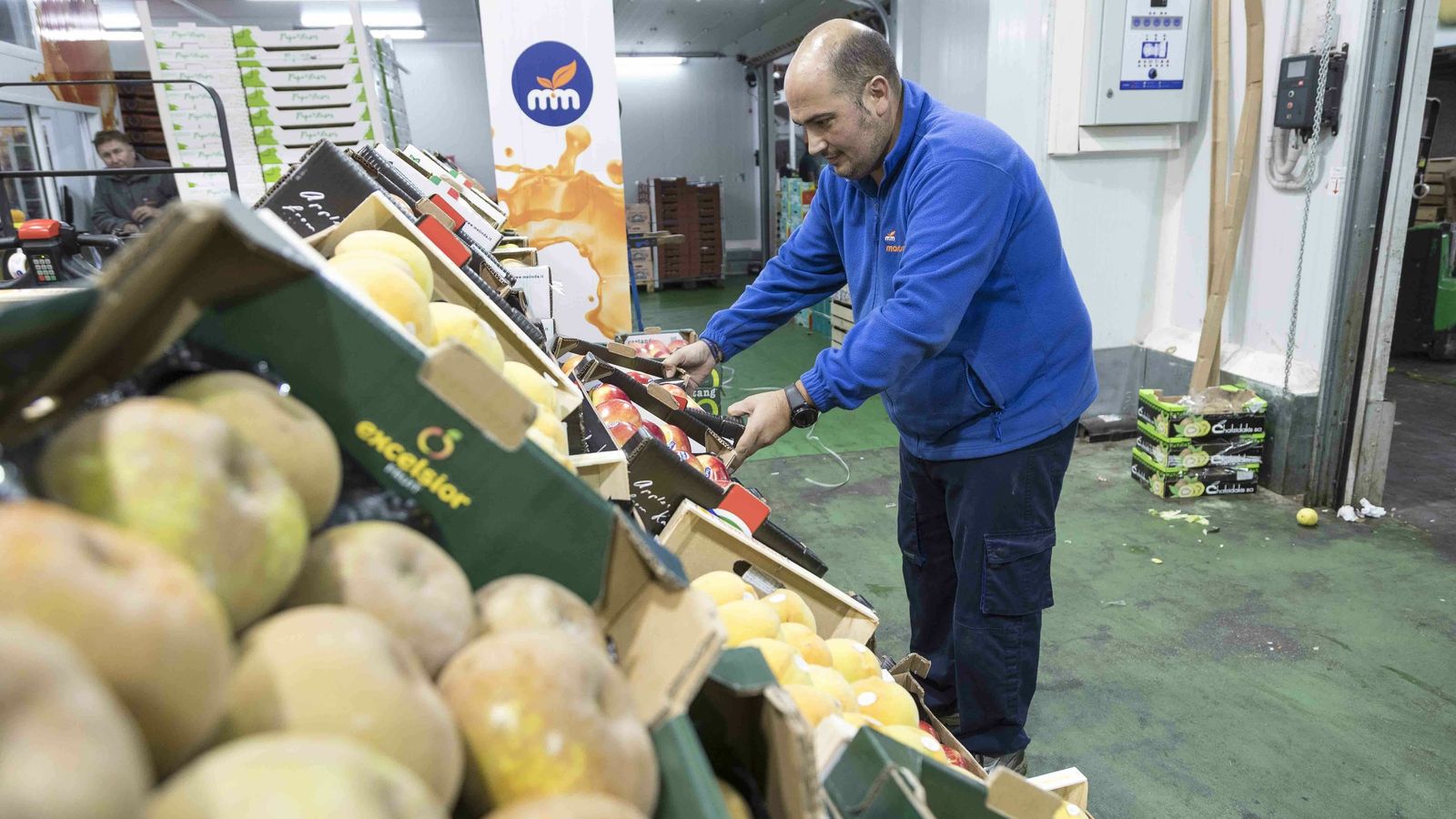 Un trabajador de Martimar ordena la fruta en una nave de Mercasevilla.