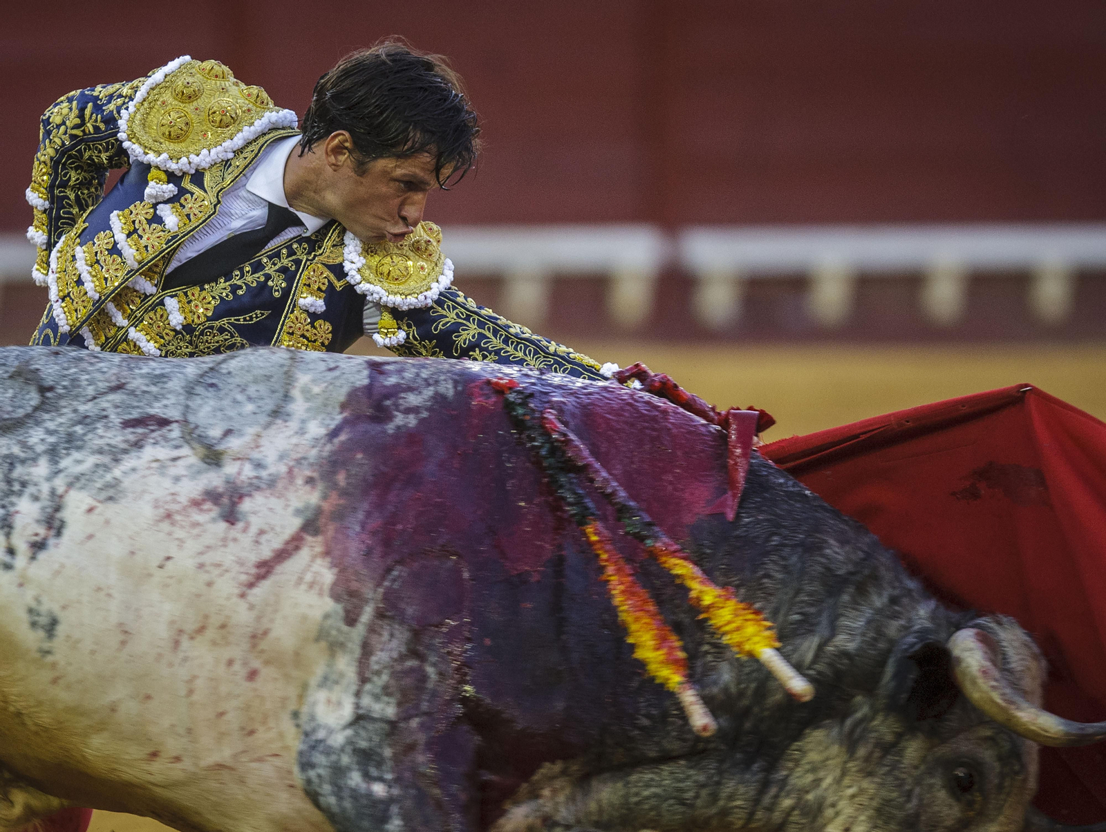 Las imágenes de la tarde de toros del domingo en El Puerto