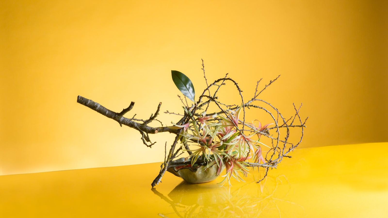 Obra de Wagner Kreusch