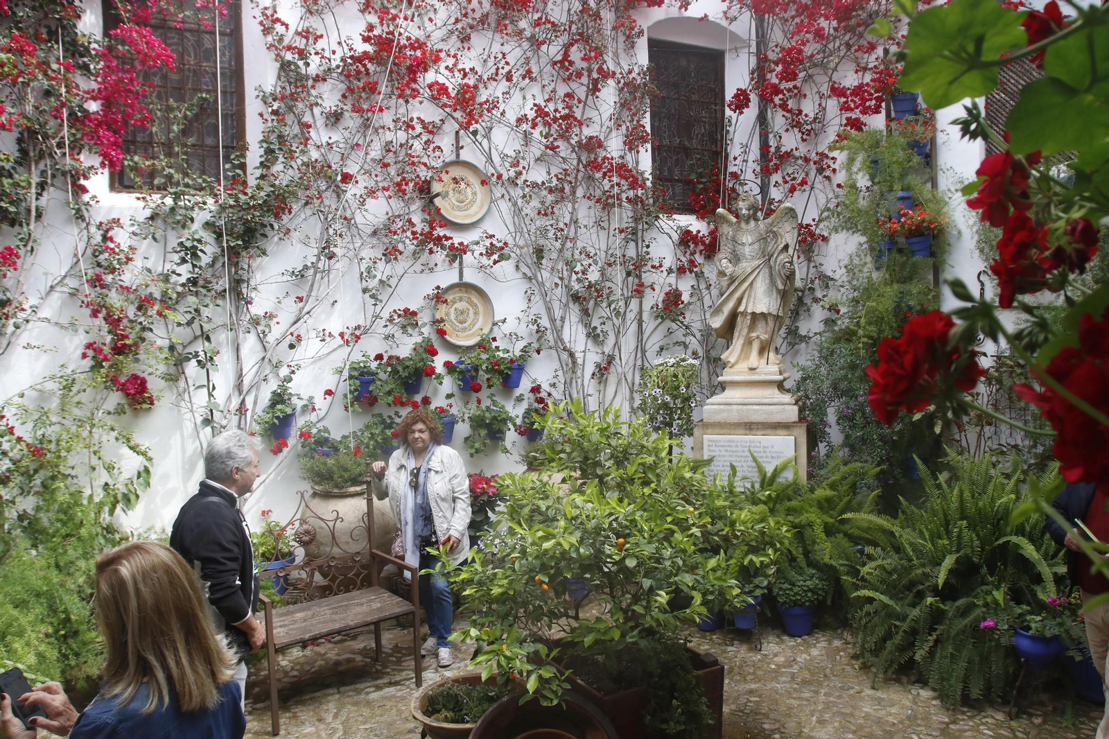 Patio de Plaza de San Rafael, 7