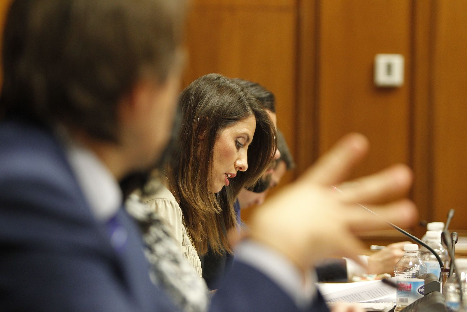 Fotogalería Pleno Ordinario Diputación de Almería