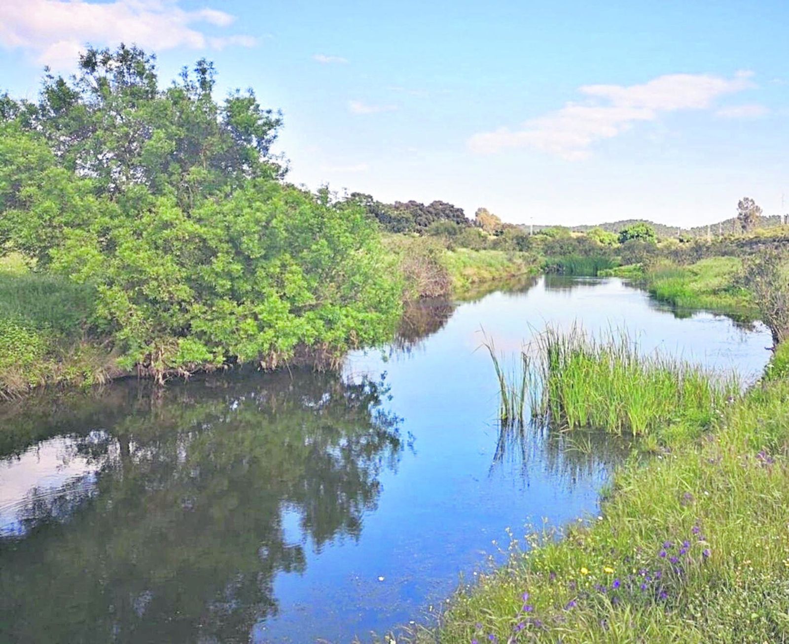 El Castillo de las Guardas, naturaleza en estado puro