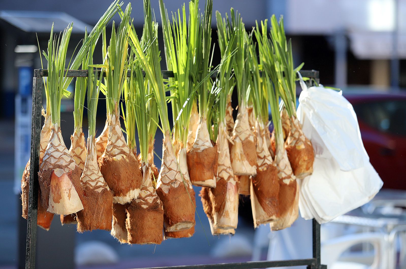 Imágenes de la procesión de San Sebastián en Huelva