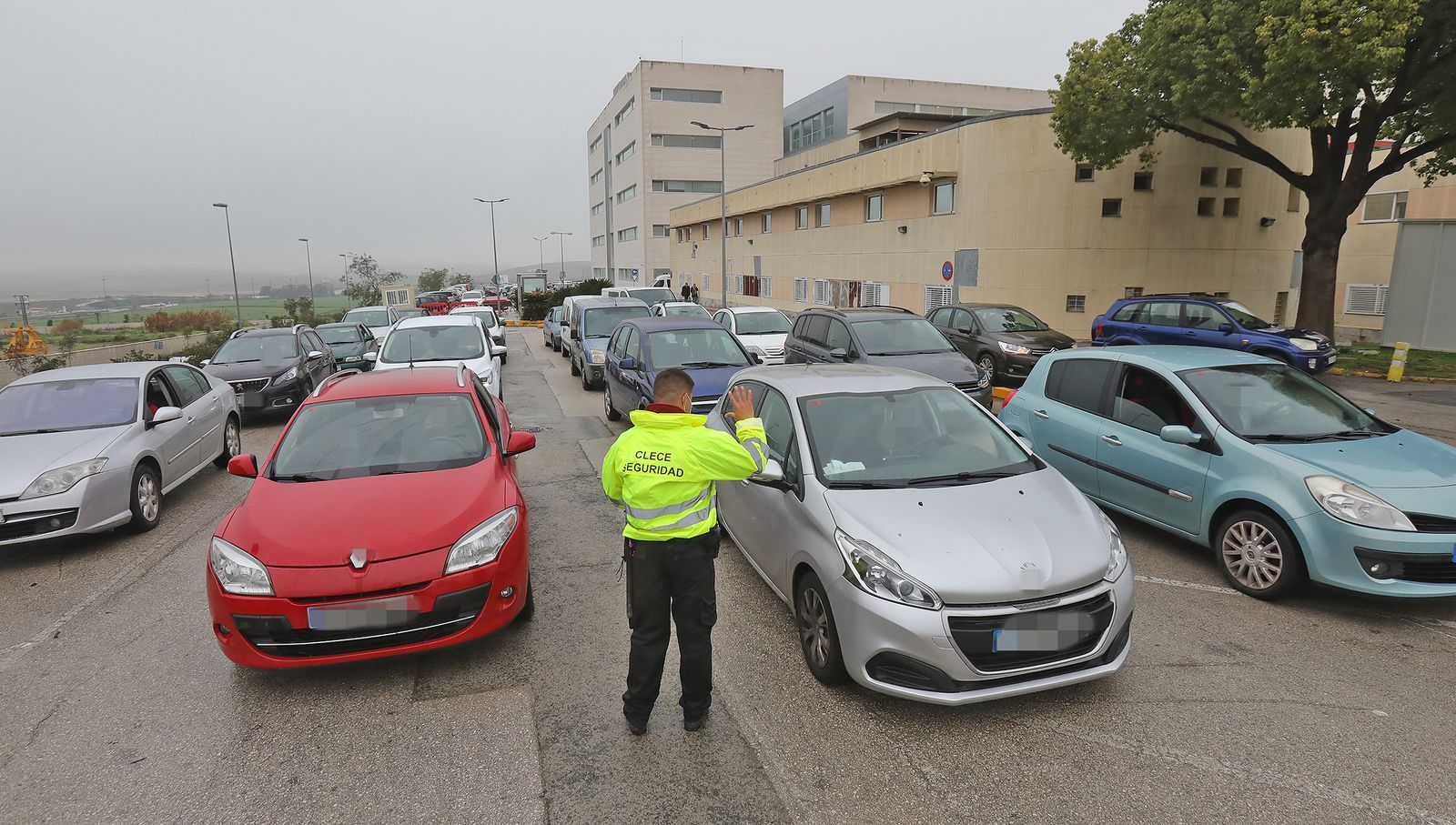 Mes en imágenes: Enero