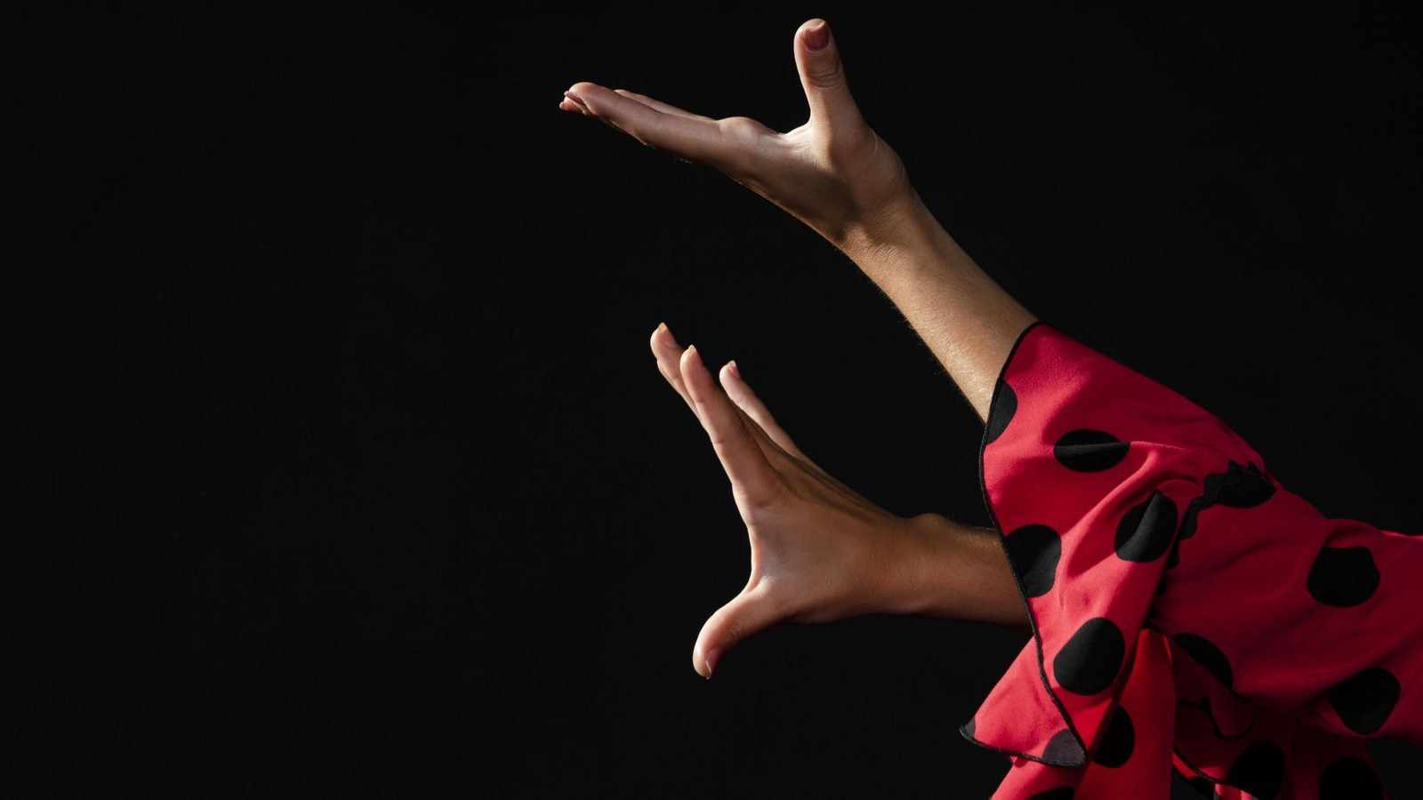 Alegría, flamenco y gastronomía: el mejor lugar para disfrutar de un buen show en Málaga