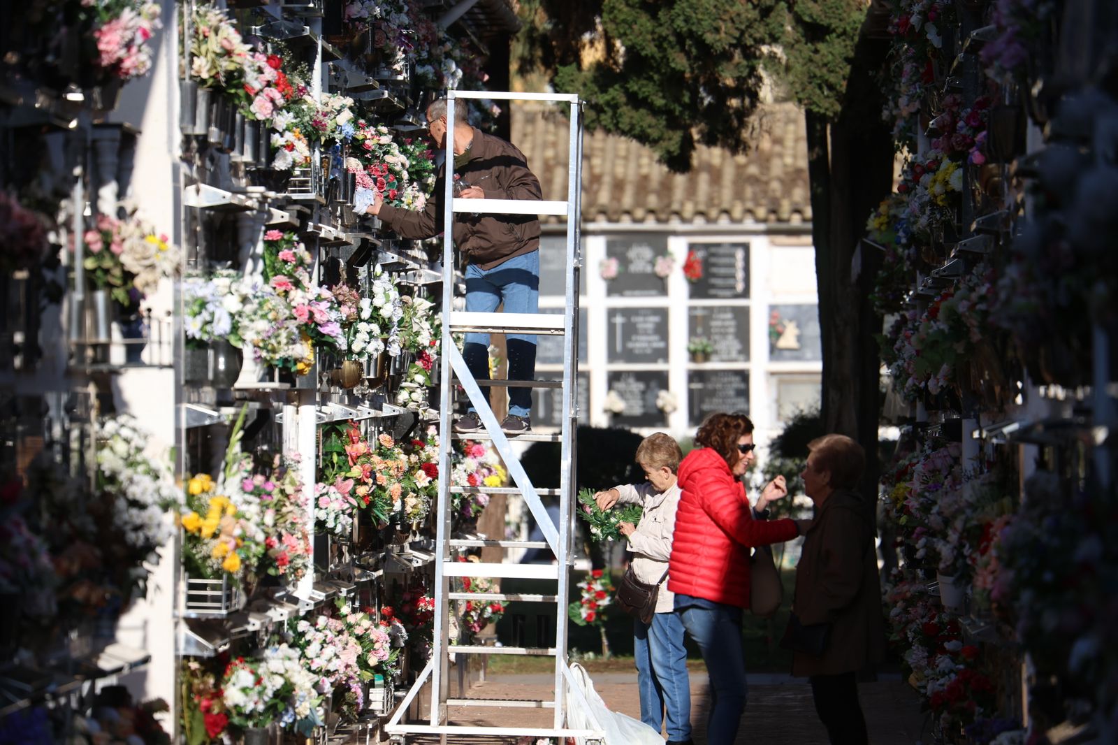 Las imágenes del día de Todos los Santos en el cementerio de San Rafael de Córdoba