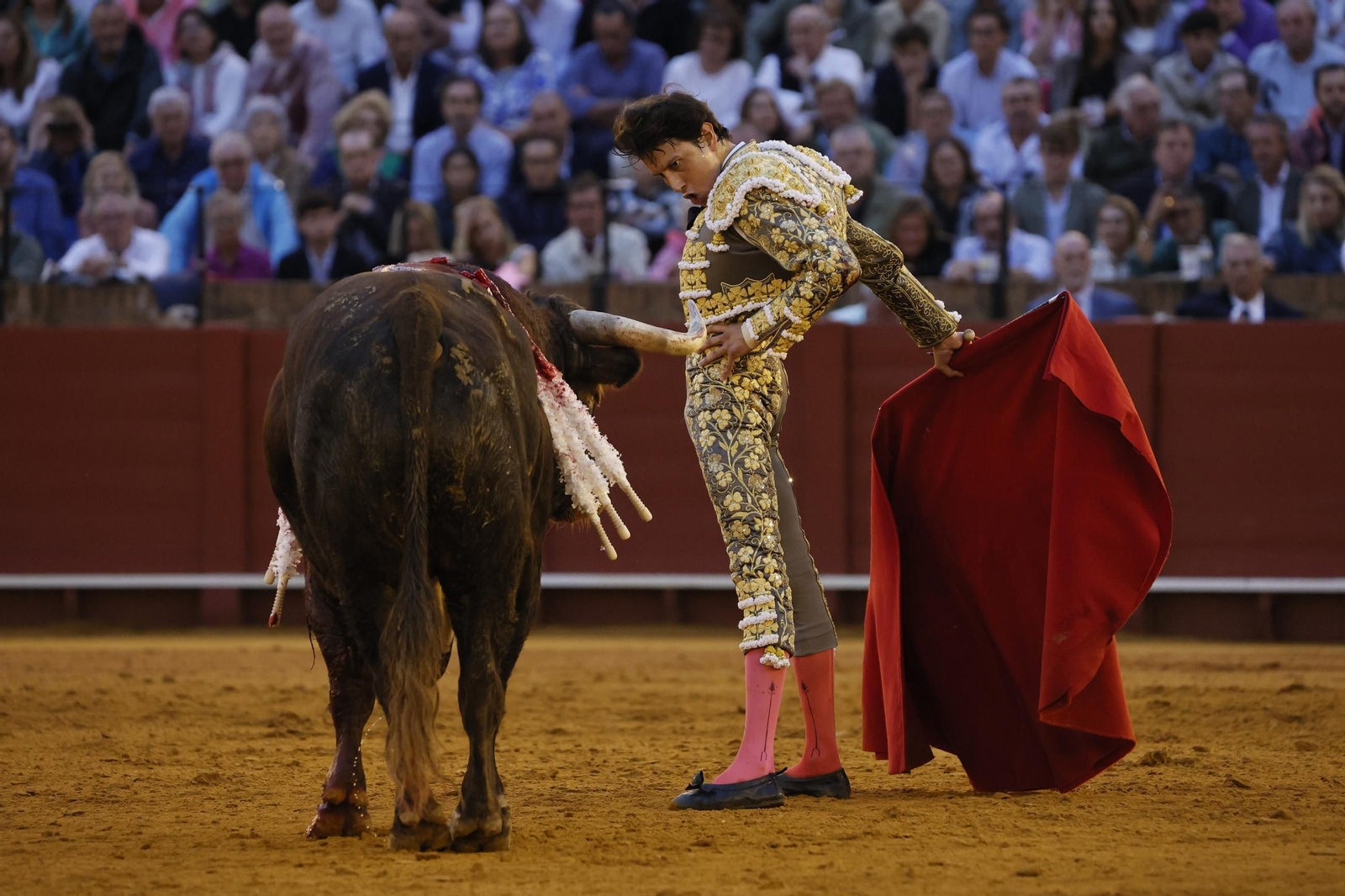 Las imágenes del festejo
