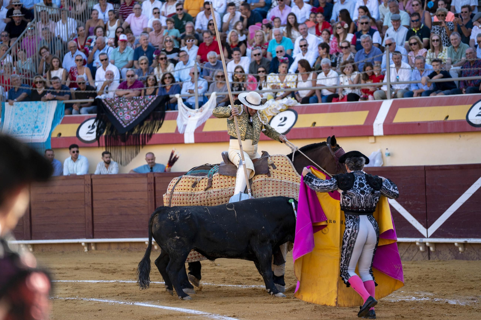 Las imágenes de los toros en Vera