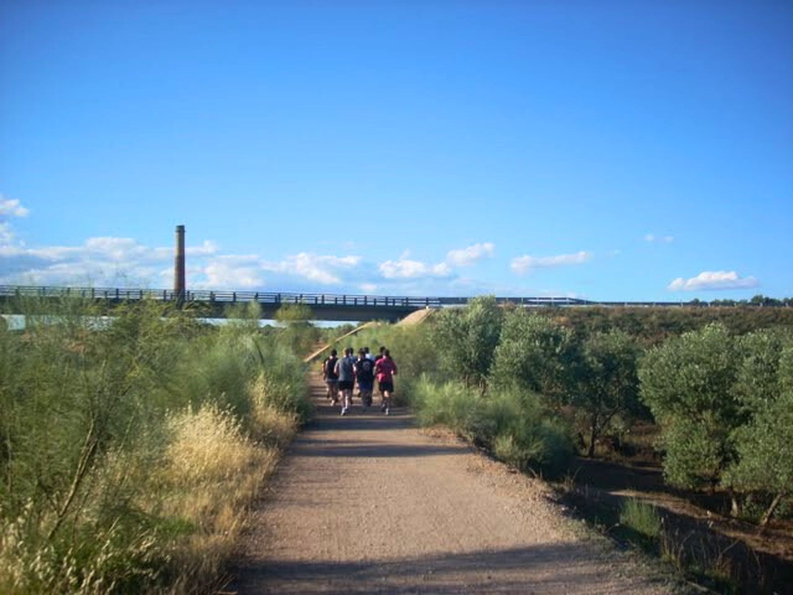 De Linarejos a los pozos mineros: la ruta más sorprendente del antiguo distrito minero, en imágenes