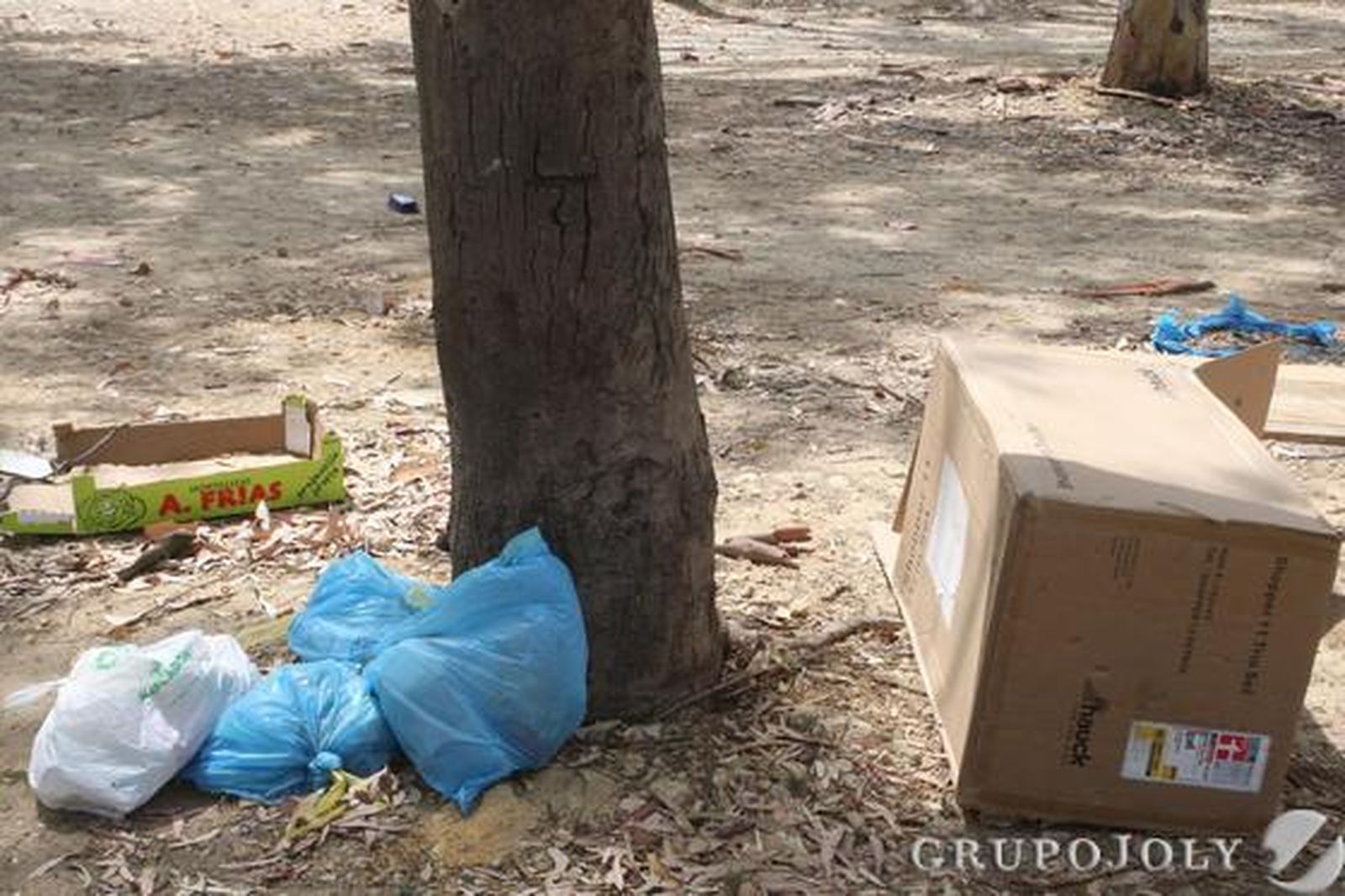 Diverssas cajas de cartón y bolsas de basuras alrededor de un árbol.

Foto: Paco Guerrero
