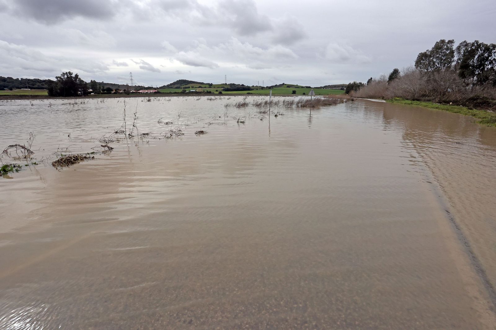El Guadalete comienza a bajar su nivel poco a poco por la zona rural de Jerez