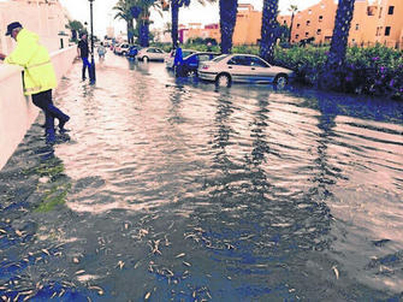 Una tormenta de verano de media hora vuelve a sembrar el pánico en Vera playa