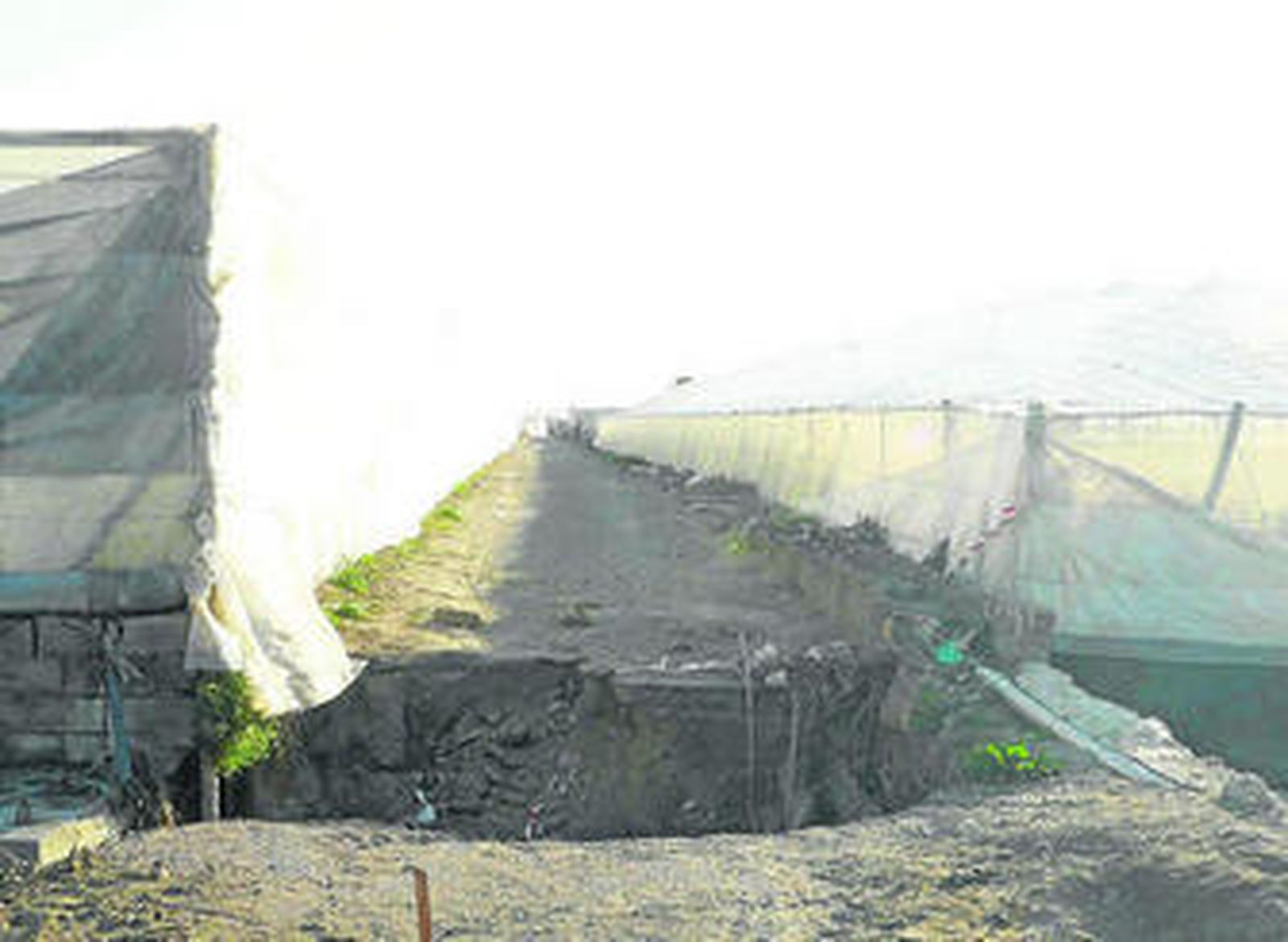 Socavón en un camino rural en la barriada almeriense.