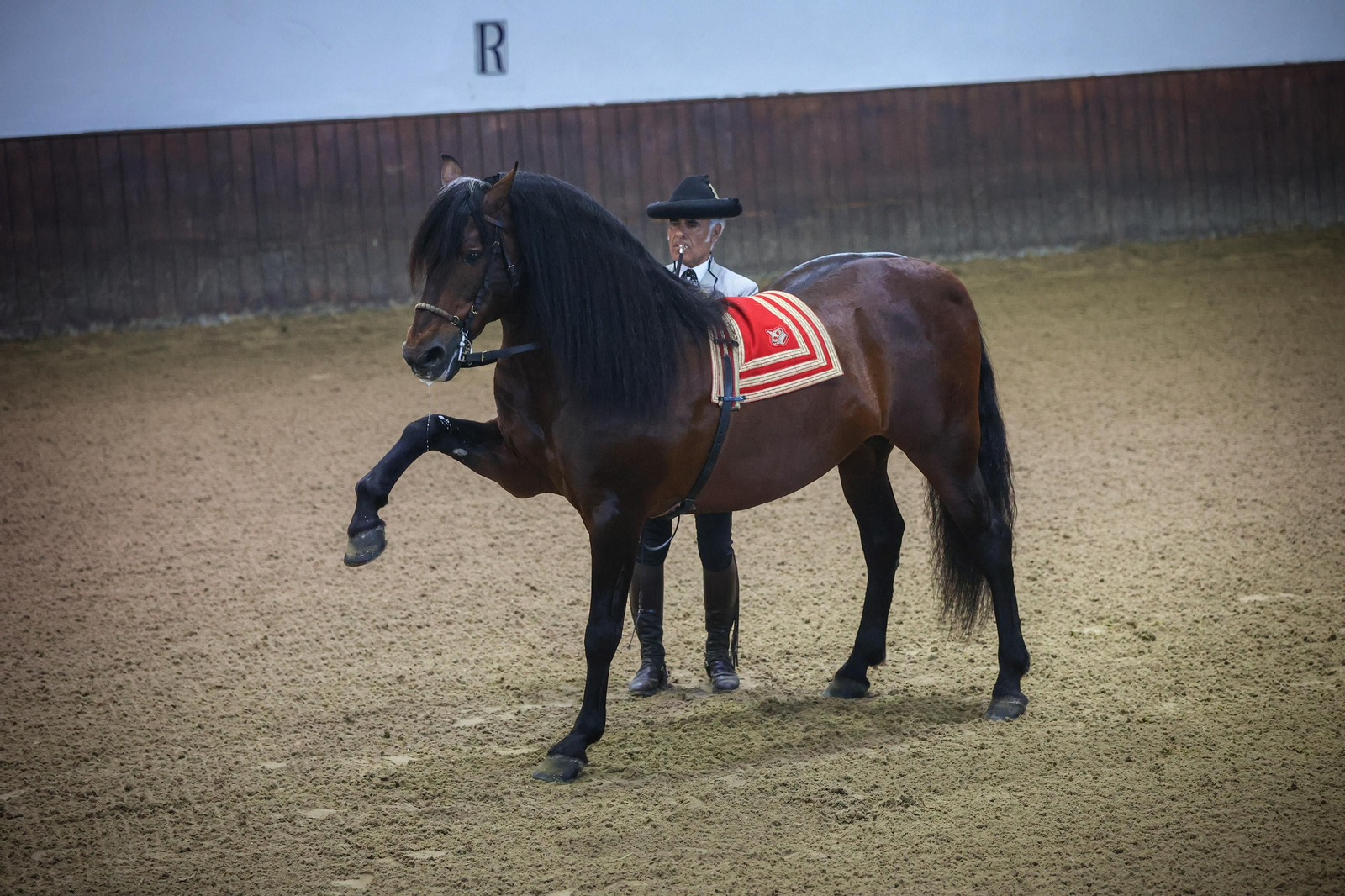 Emotiva despedida del jinete Manolo Ruíz en la Real Escuela