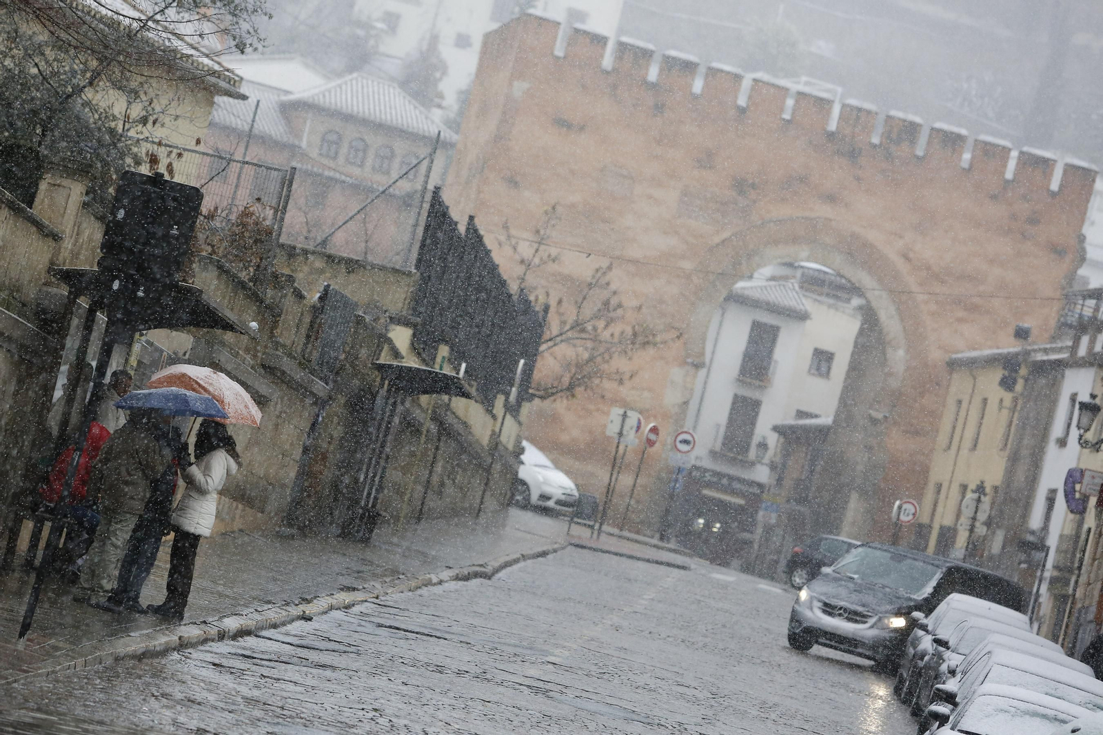 La nevada de Granada, en imágenes