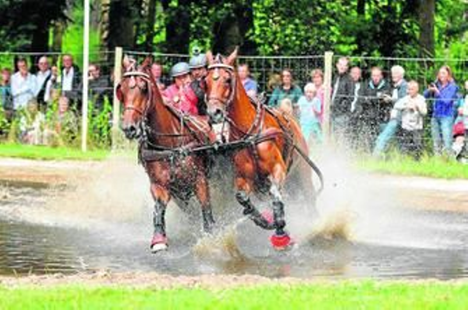 Dos Hermanas galopa en otoño