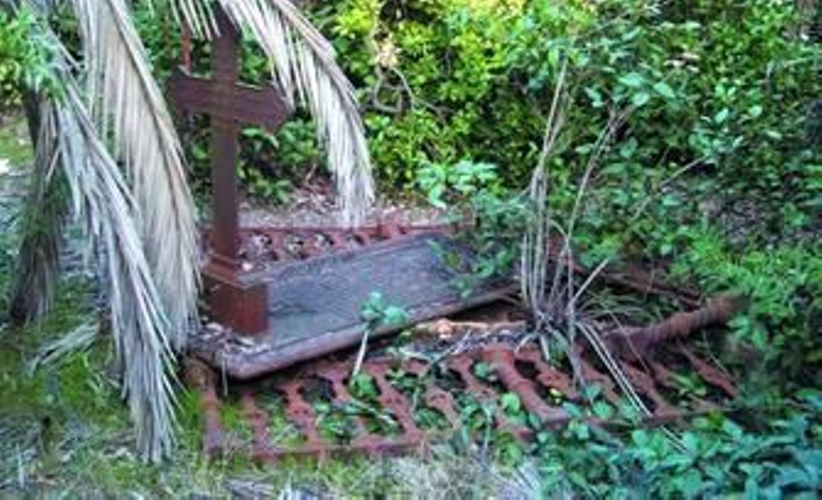 La última tumba profanada en el cementerio inglés fue la primera que se construyó en este campo santo.