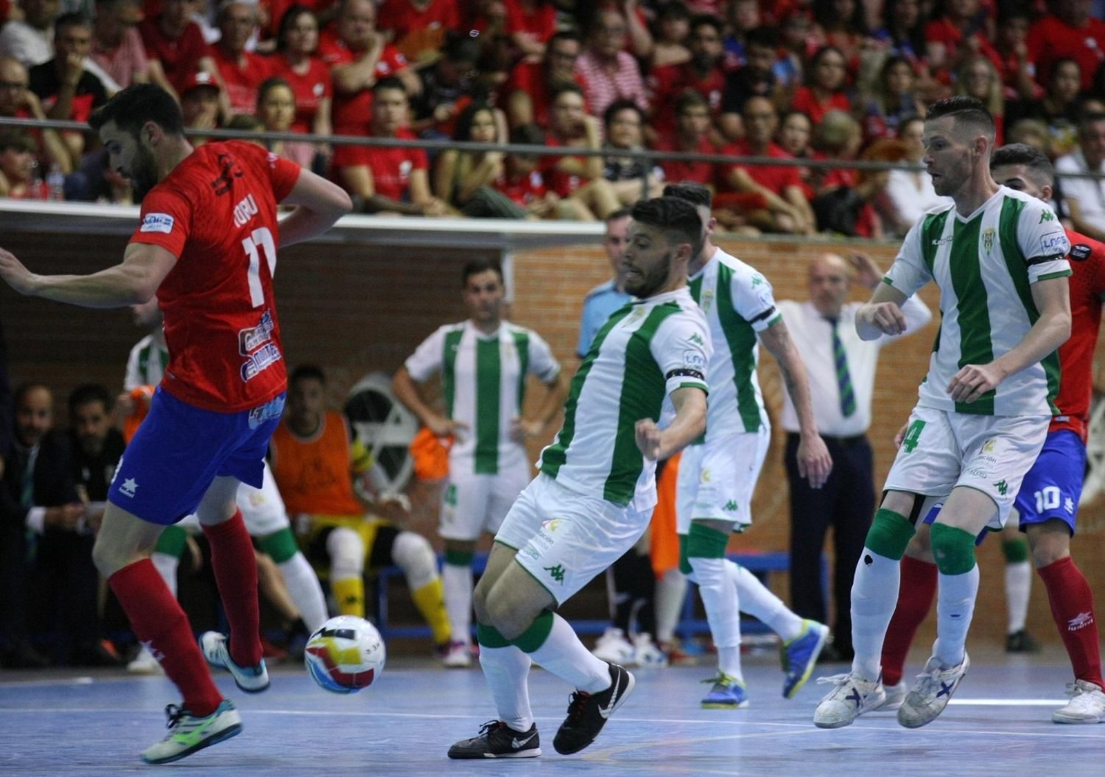 Las fotos del ascenso del Córdoba CF Futsal en Mengíbar