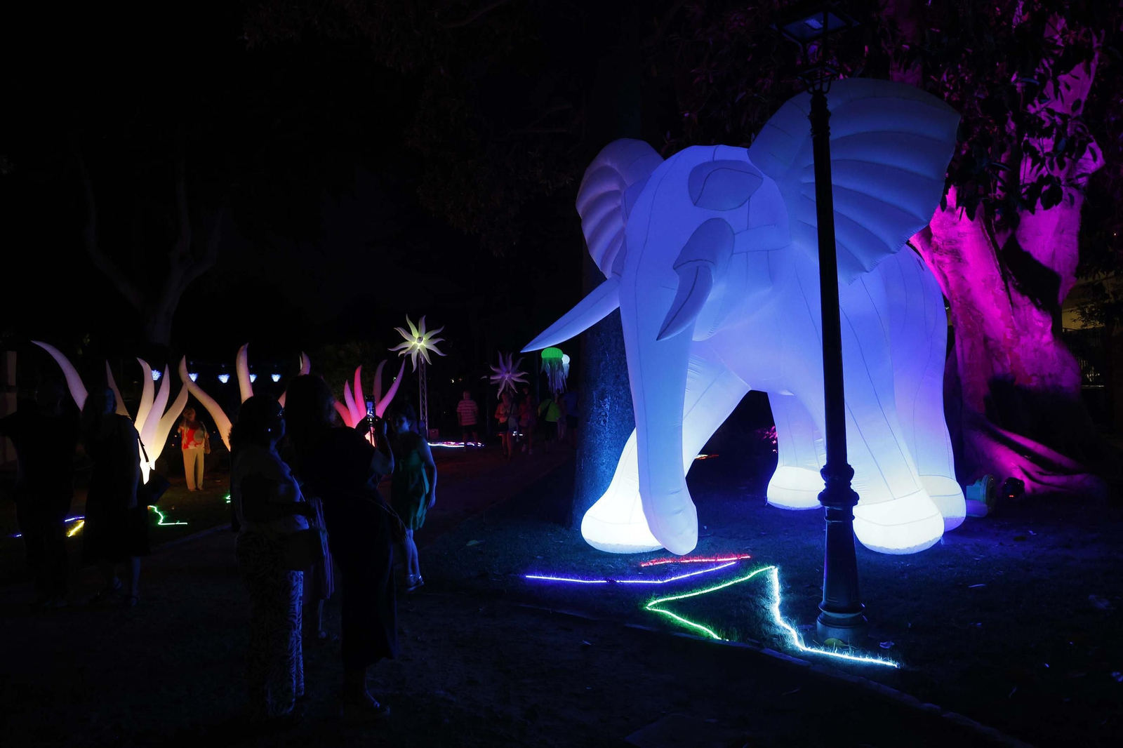 Fotos de los jardines mágicos de la Noche en Blanco de La Línea