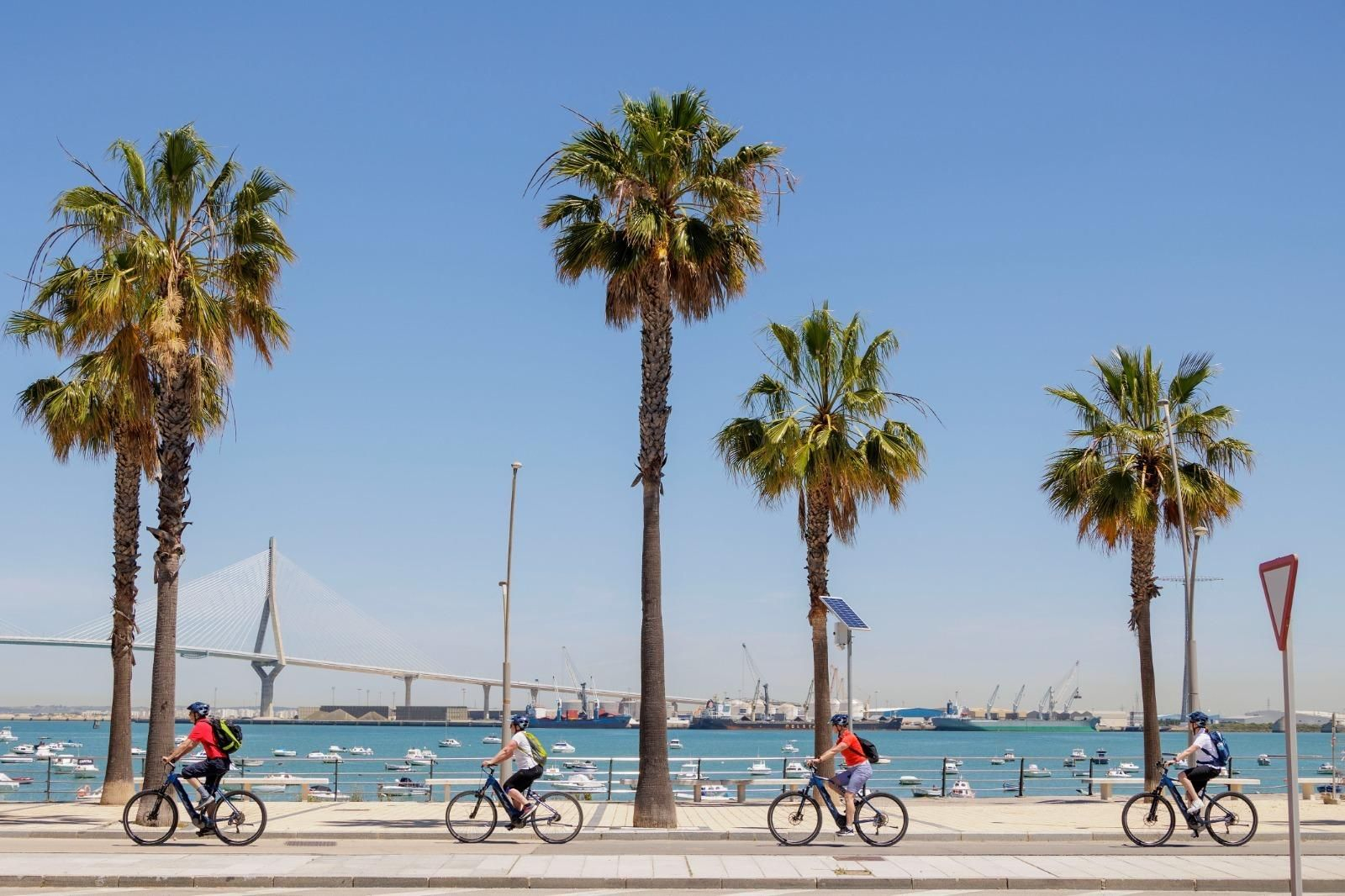 Jornada con la visita de cinco cruceros al puerto de Cádiz