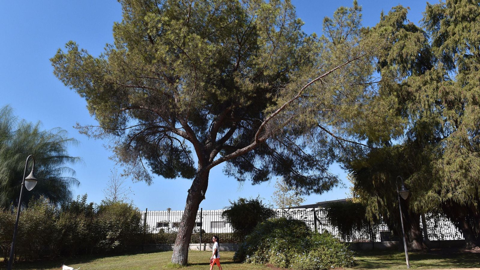 Los Jardines de las Delicias.