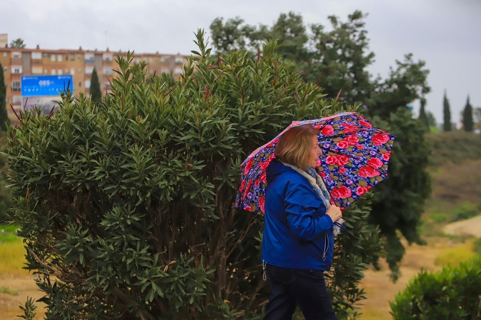 Una mujer camina con paraguas bajo la lluvia en la avenida Reina Sofía en Jerez Una mujer camina con paraguas bajo la lluvia en la avenida Reina Sofía en Jerez