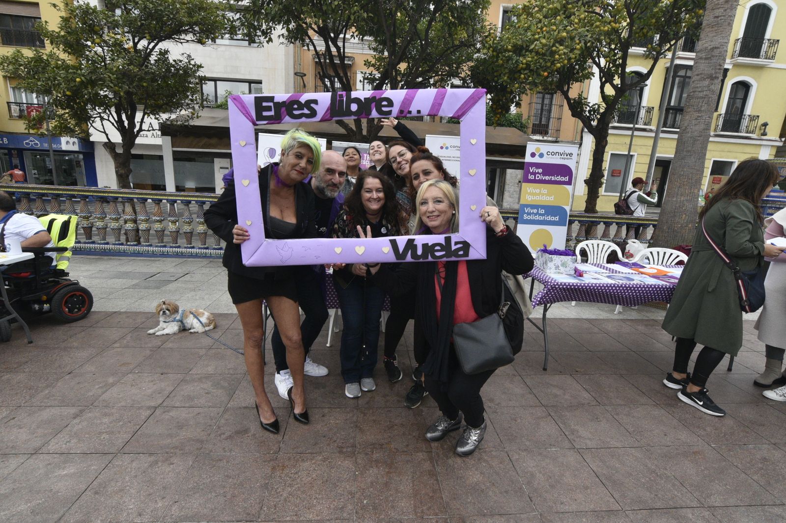 I muestra de entidades sociales Informat en La Plaza Alta