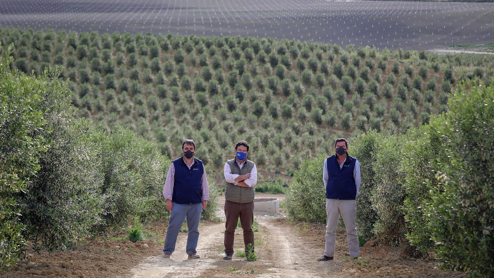 Diego Torrejón (d) y Alfonso Cuesta (d), de Emytec, en la explotación olivarera de Alexis Ferral (c) en la carretera de El Calvario.