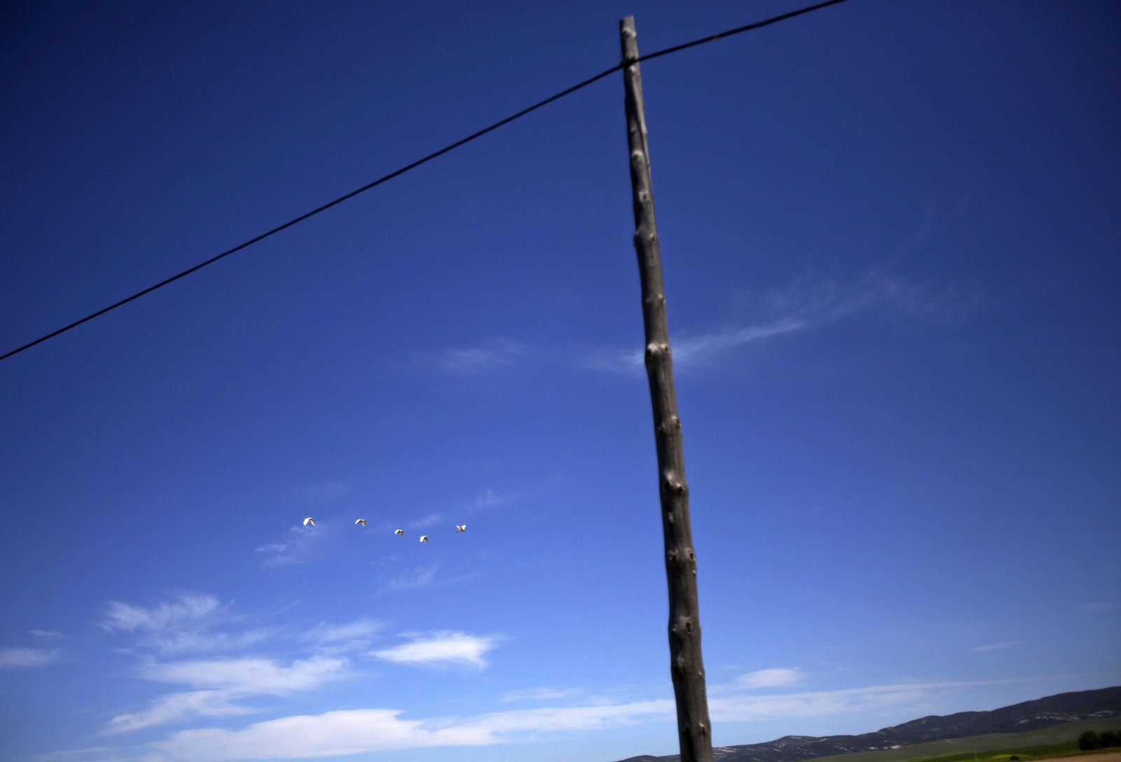 Mas cornadas da el virus, visita a la ganadería de Nuñez La Palmosilla