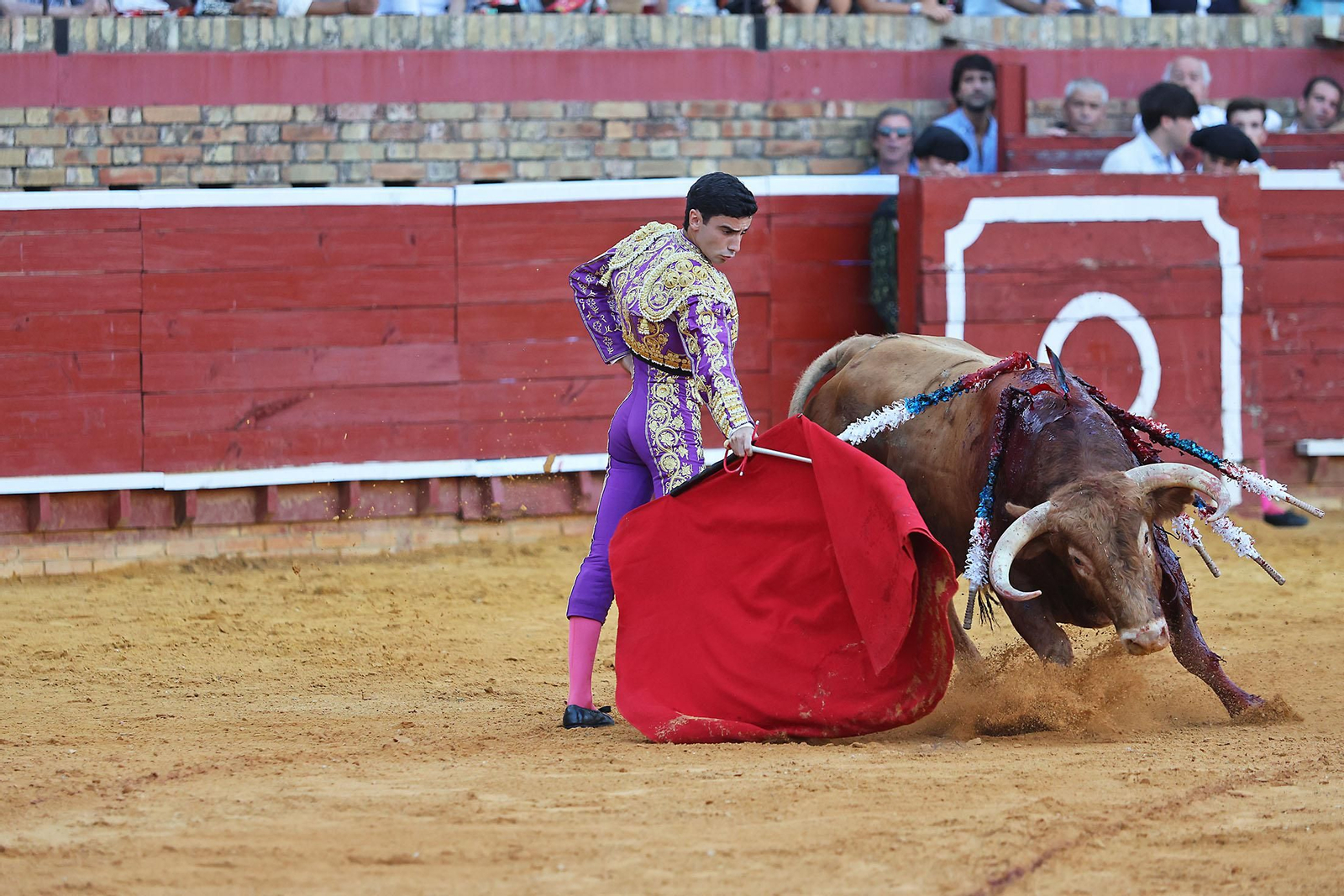 Toros La Merced 2024 Novillada con picadores(
