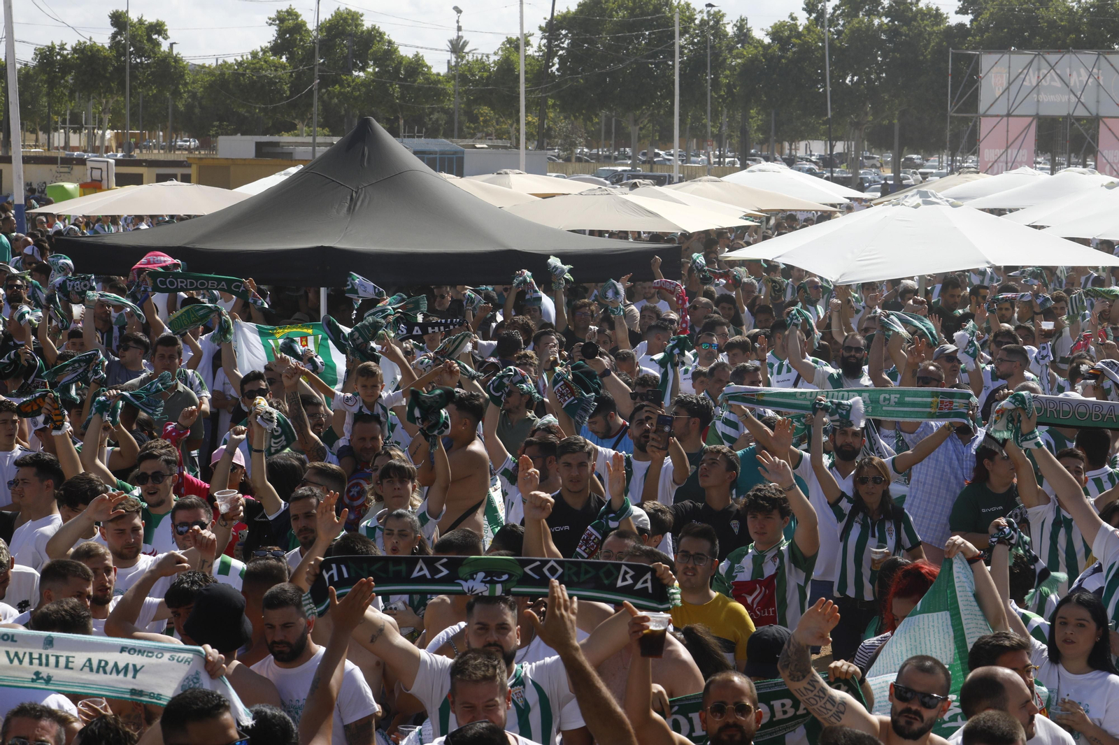 Las mejores fotos de la 'Fan Zone' del Córdoba CF antes del partido ante la Ponferradina