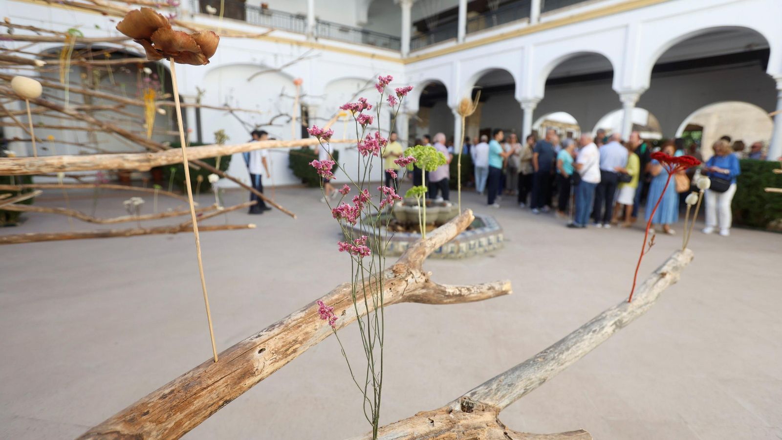 'Arbor', de Paula Anta, en el Museo Arqueológico