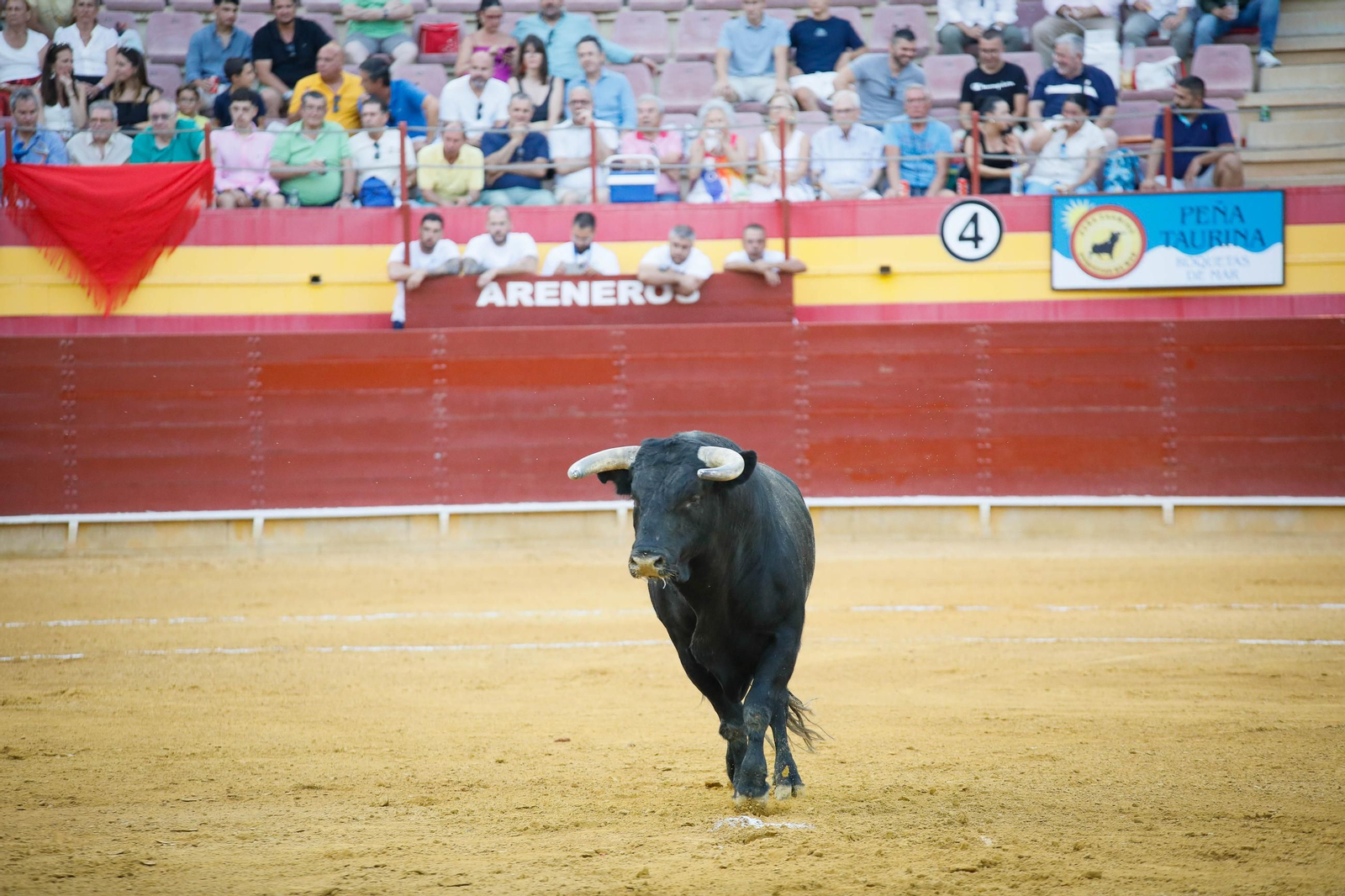 Imágenes de la corrida de toros en Roquetas de Mar