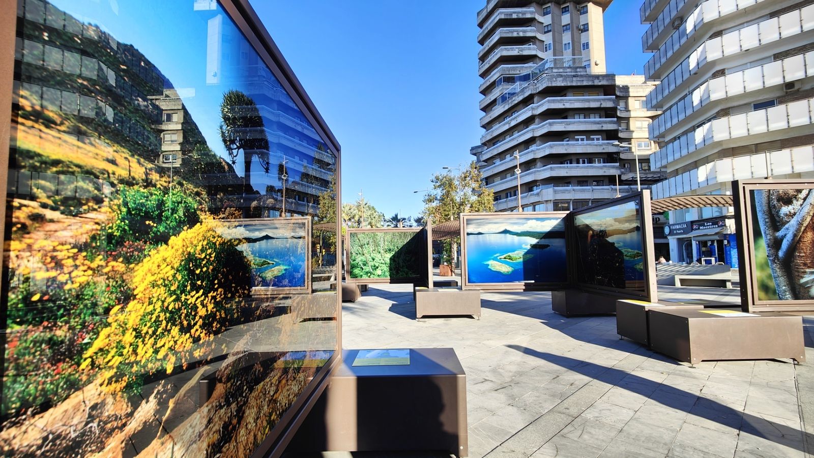 Las imágenes más destacadas del viernes 24 de noviembre en Huelva