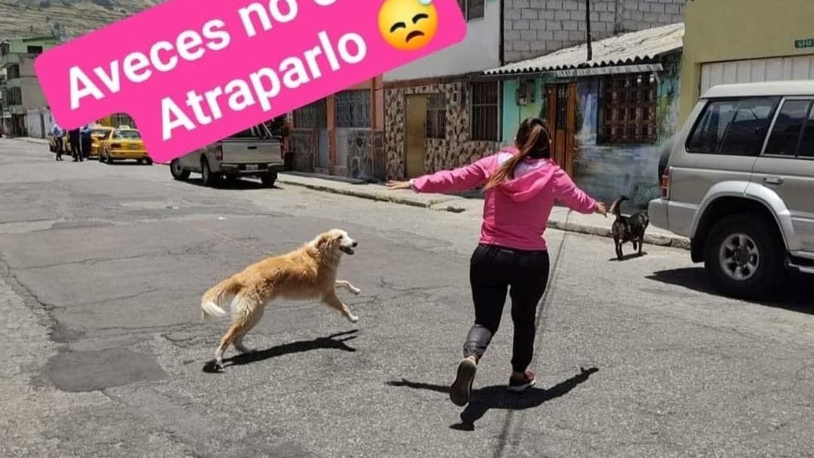 No es fácil atraparlo