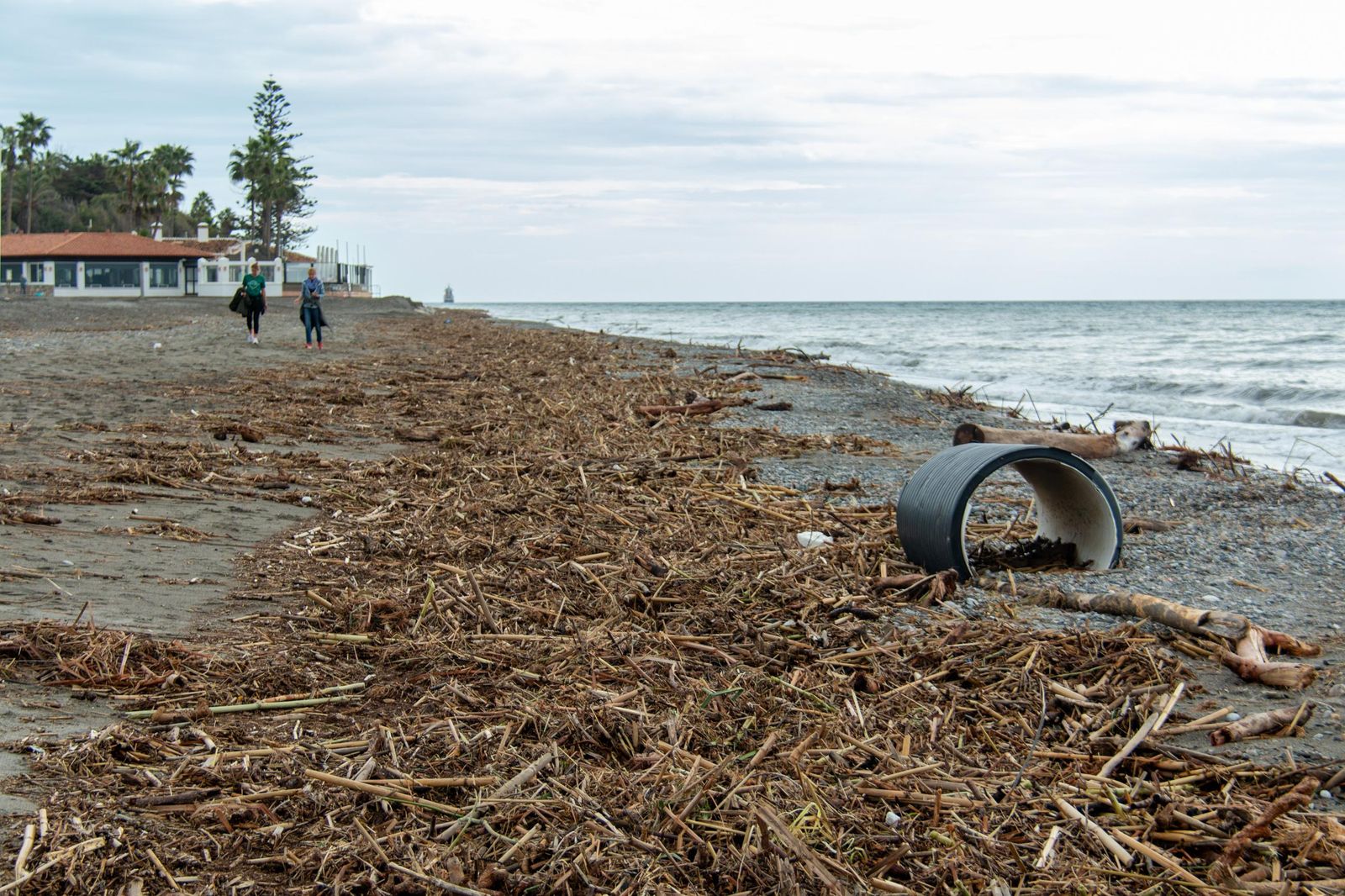La playa de Motril repleta de cañas tras el temporal de este martes