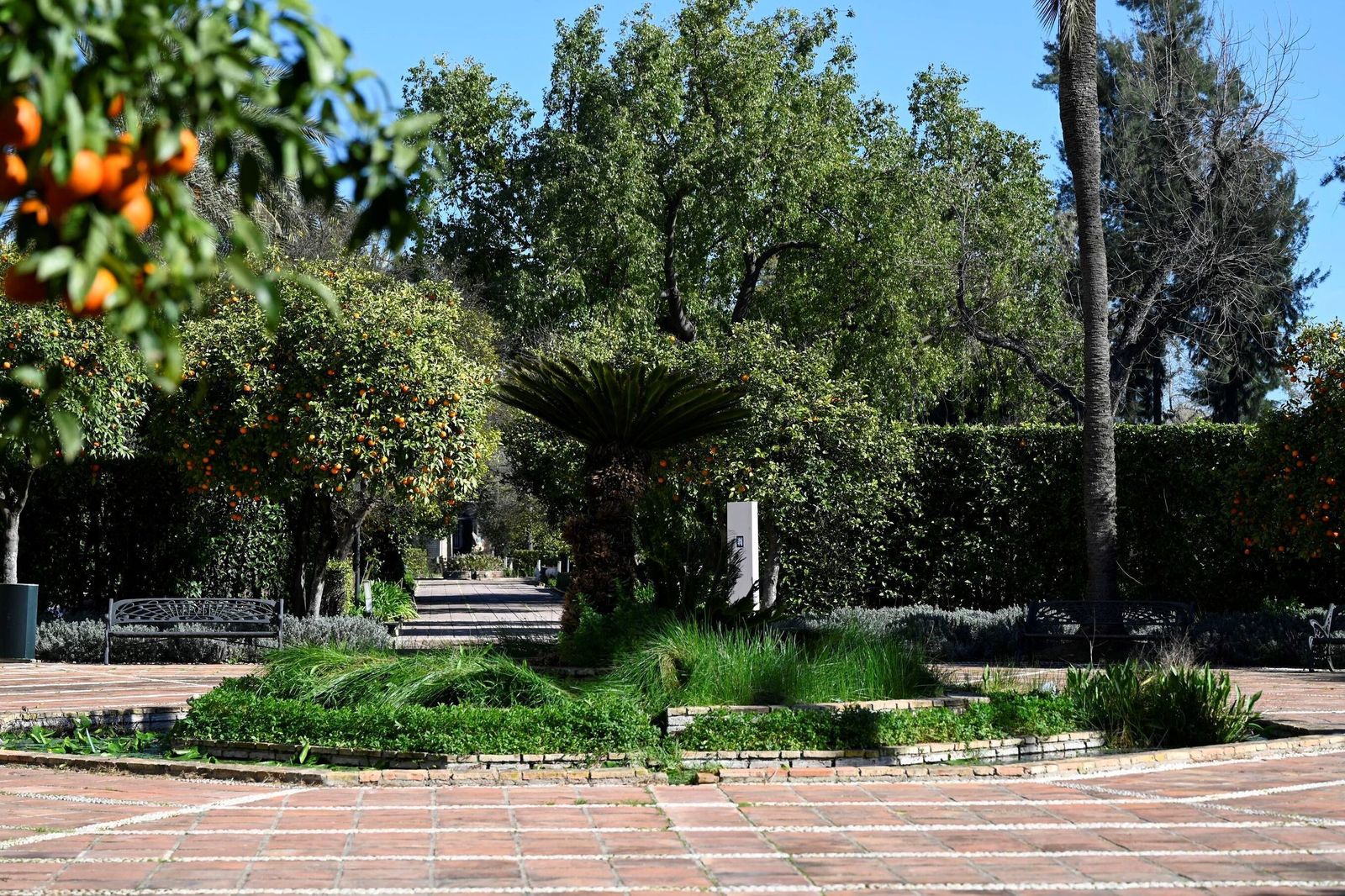 El Jardín Botánico de Córdoba reabre sus puertas tras subsanar los daños por el temporal