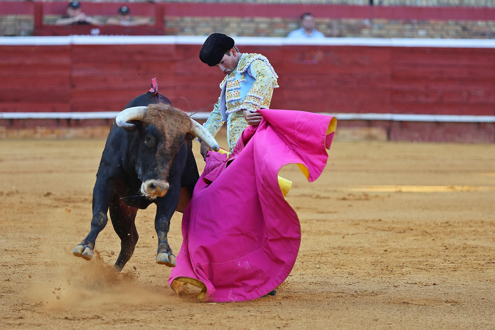 Toros La Merced 2024 Novillada con picadores(