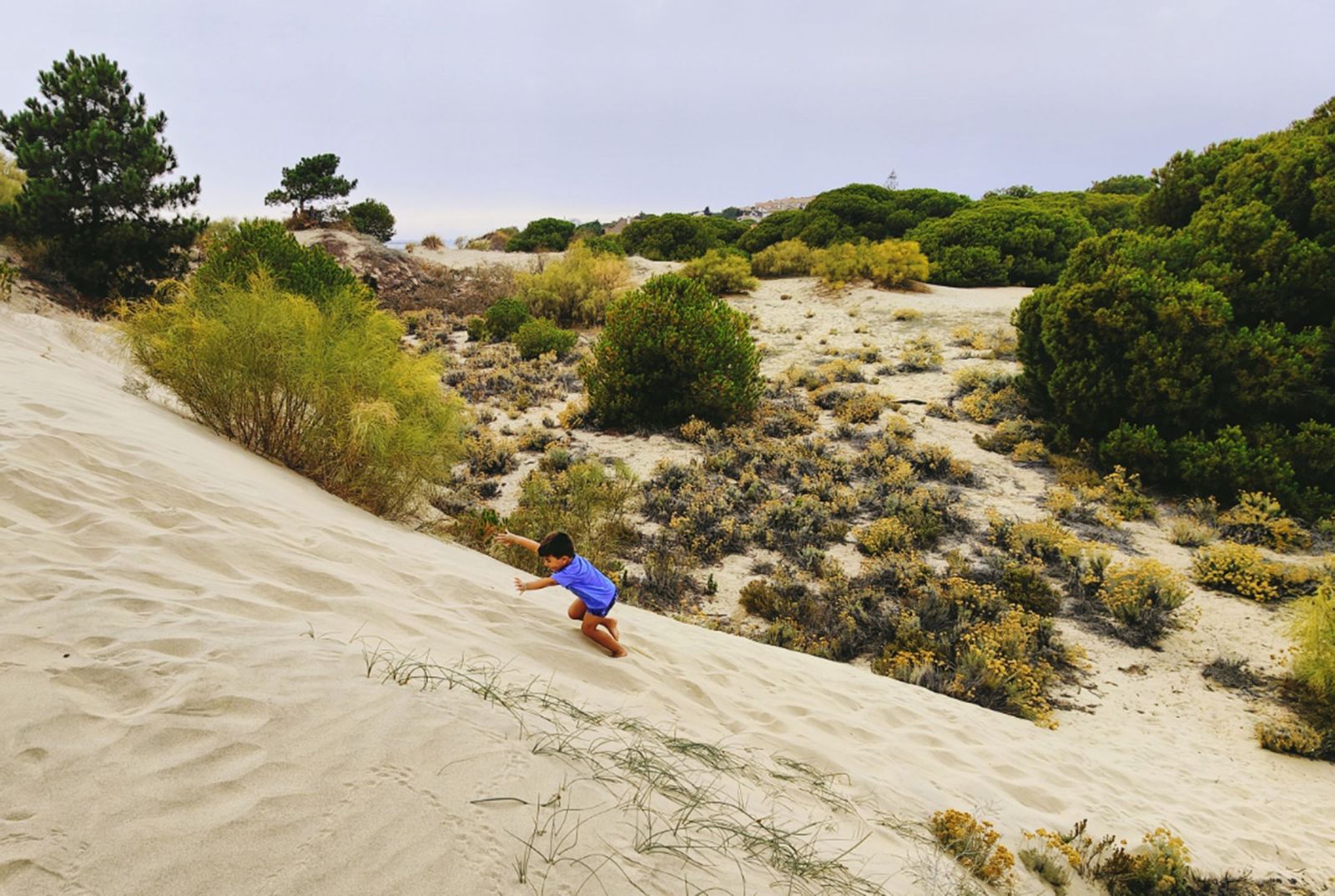 Las imágenes más destacadas del miércoles 19 de julio en Huelva