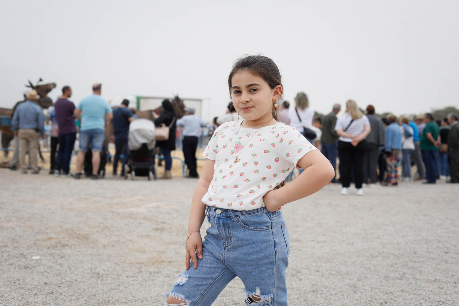 Galería de la Feria  de ganado en Tarambana