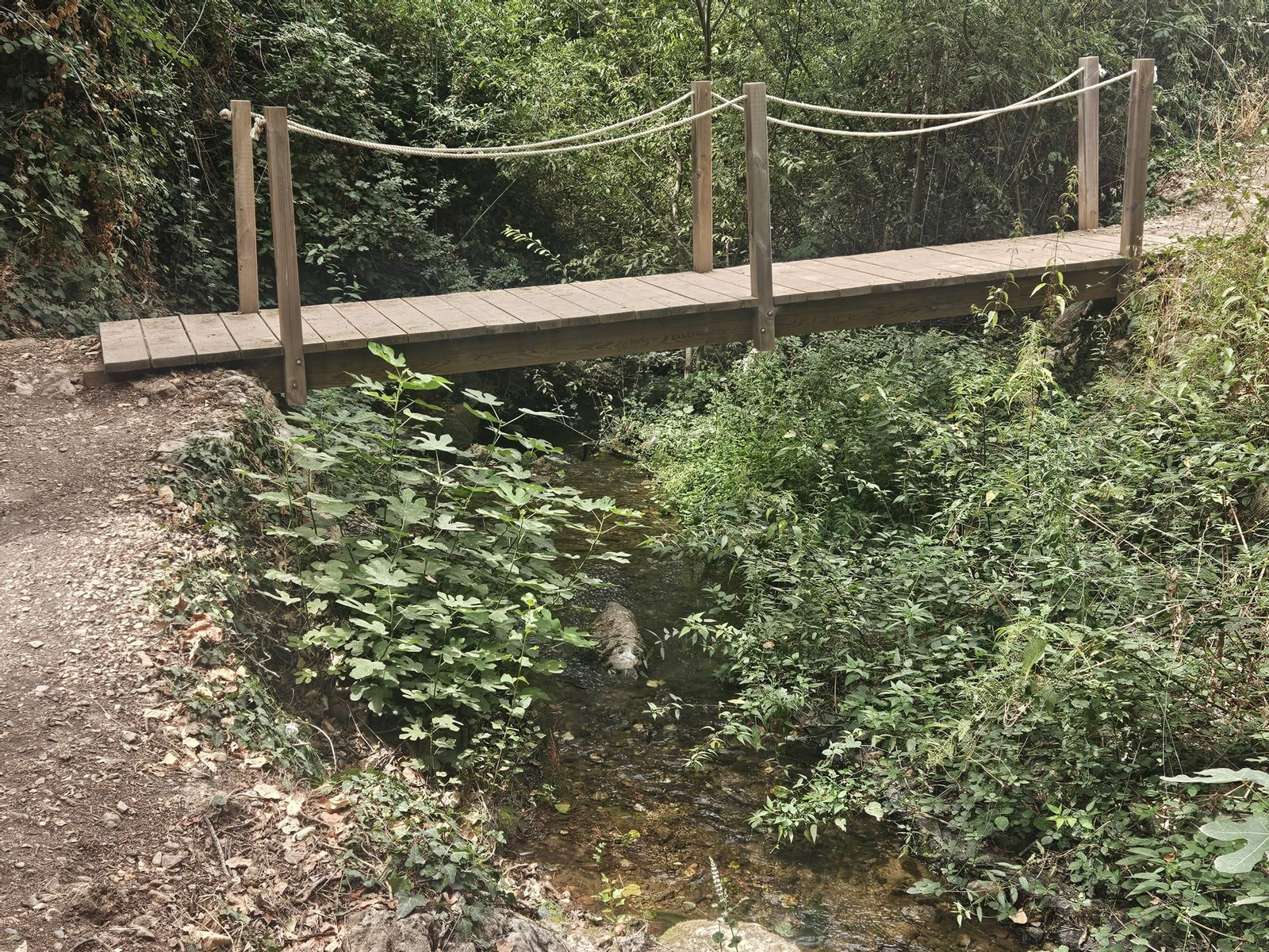 Así está en septiembre la preciosa cascada que puedes ver en Jaén