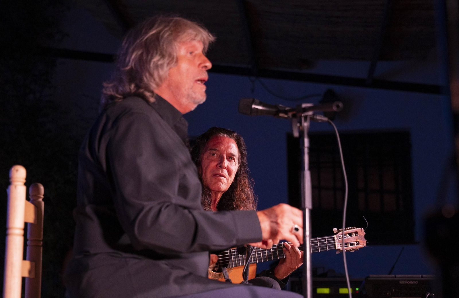 Las mejores imágenes del Festival de Flamenco en Fondón