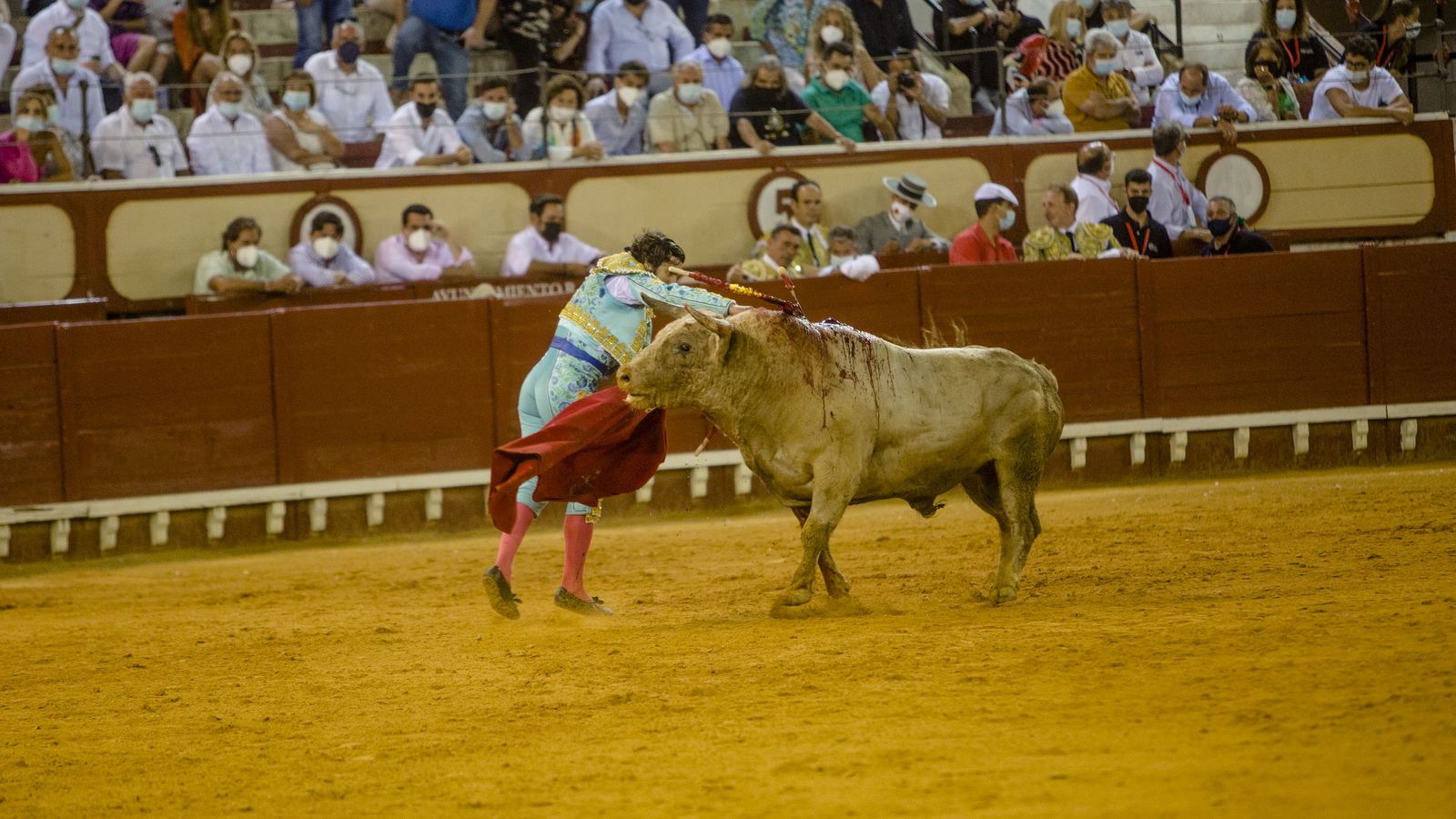 La corrida de toros en el Puerto de Santa María, con Morante de Puebla en solitario, en imágenes.