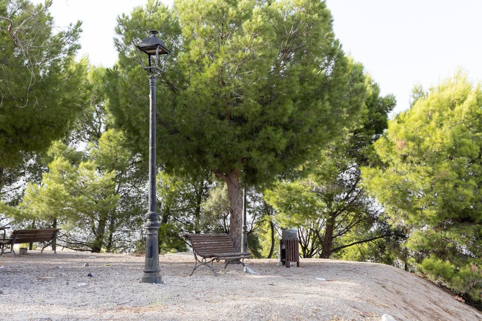Estado de abandono del parque del Cerro de las Canteras