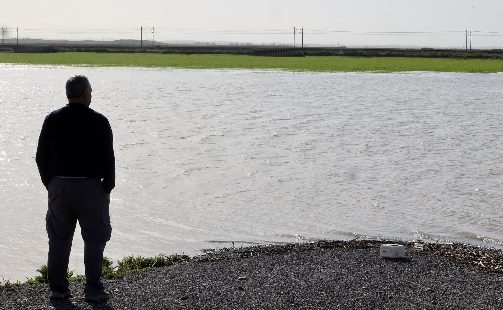 El campo en Lebrija inundado tras las lluvias
